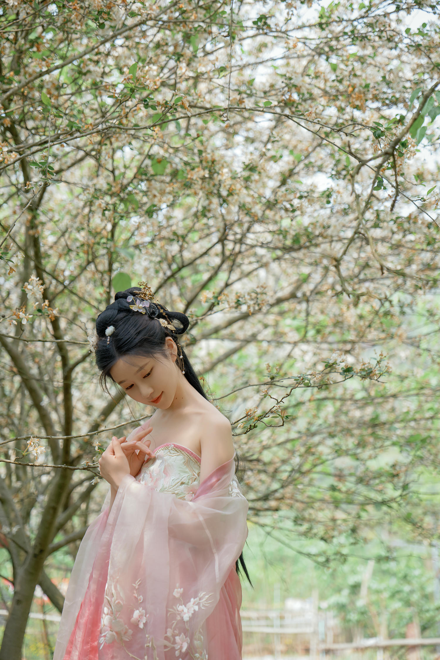 年年 NO.125 海棠仙[84P 342.4M]_第4集