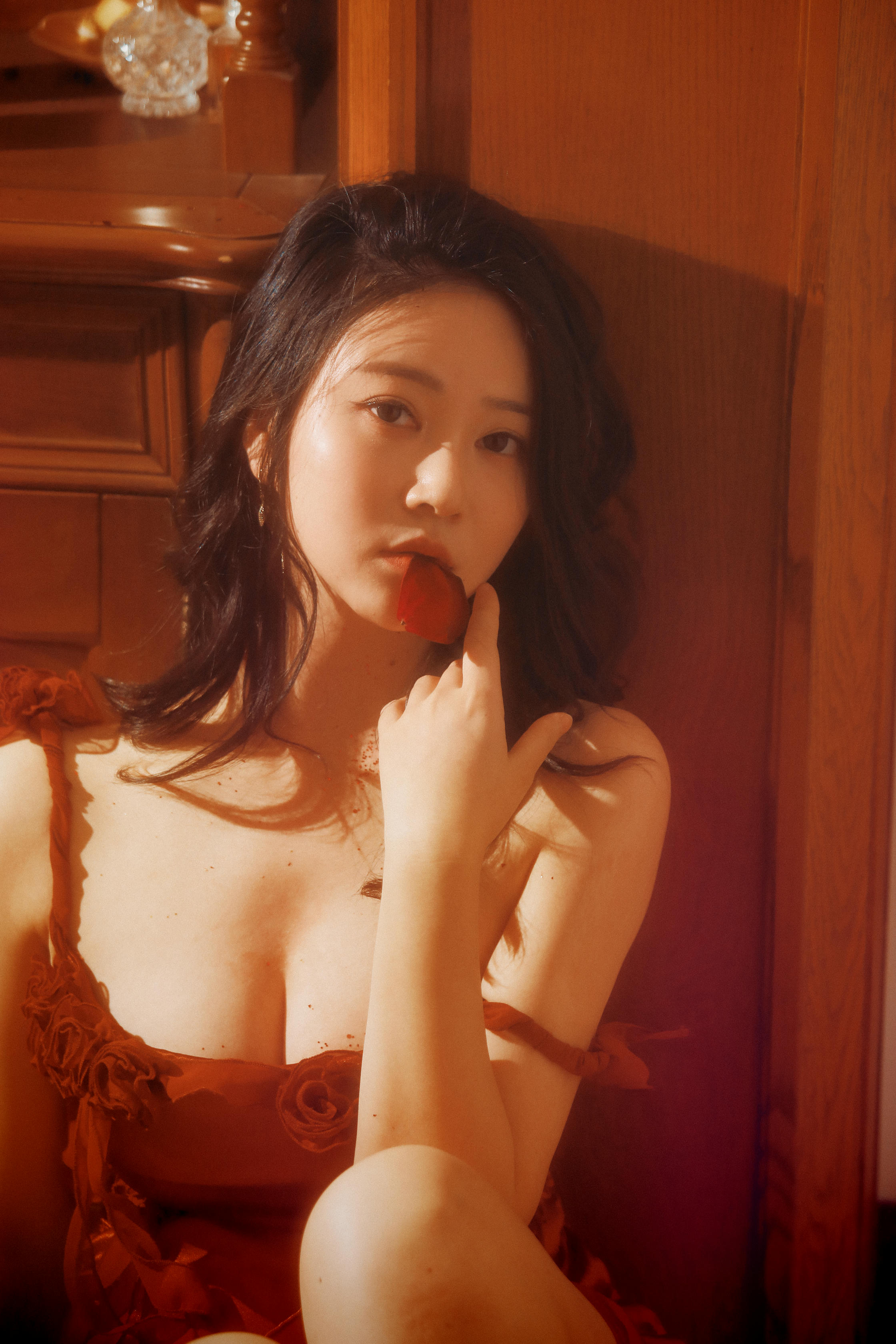 年年 NO.033 落日蔷薇 [30P 827.29 MB]_第1集