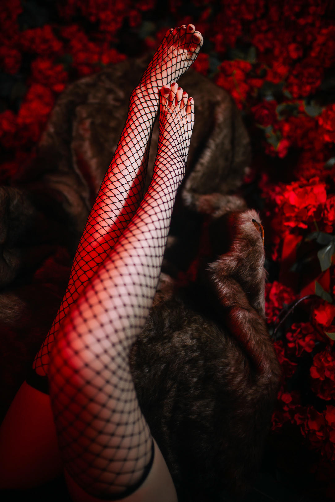 年年 NO.003 拜年图26张全 [26P 480MB]-拜年图26张全_第2集