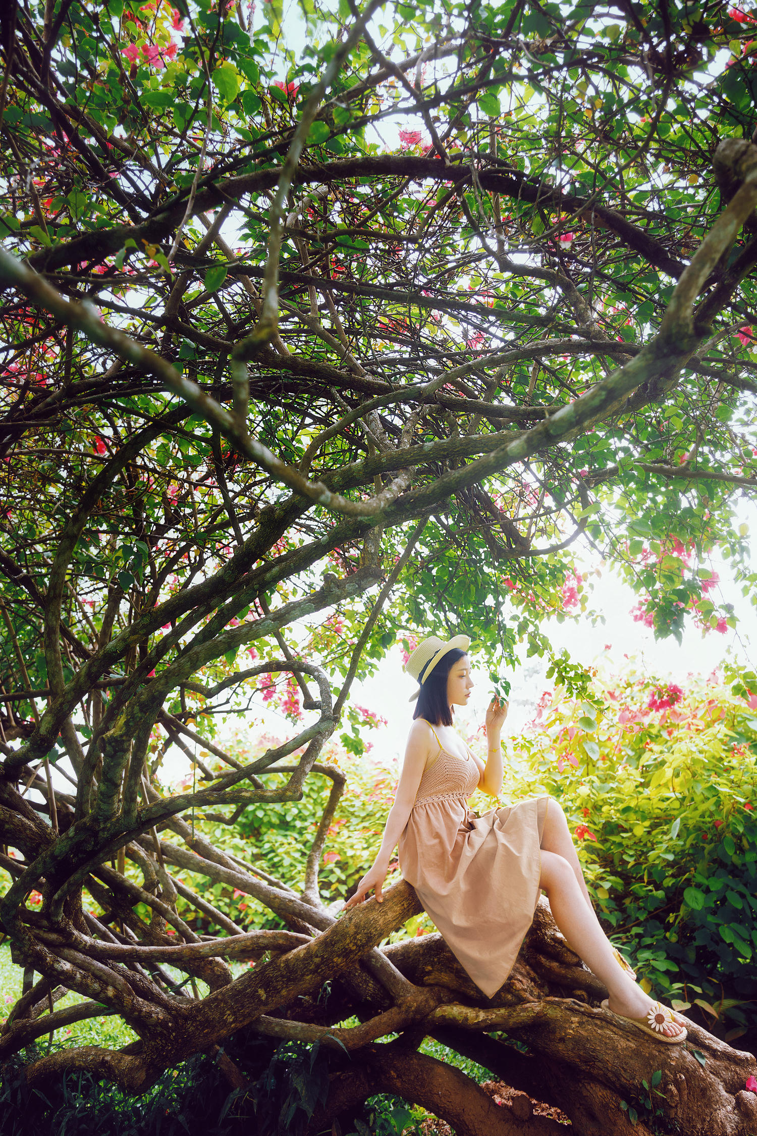 年年 NO.044 白露 [43P 437MB]_第1集