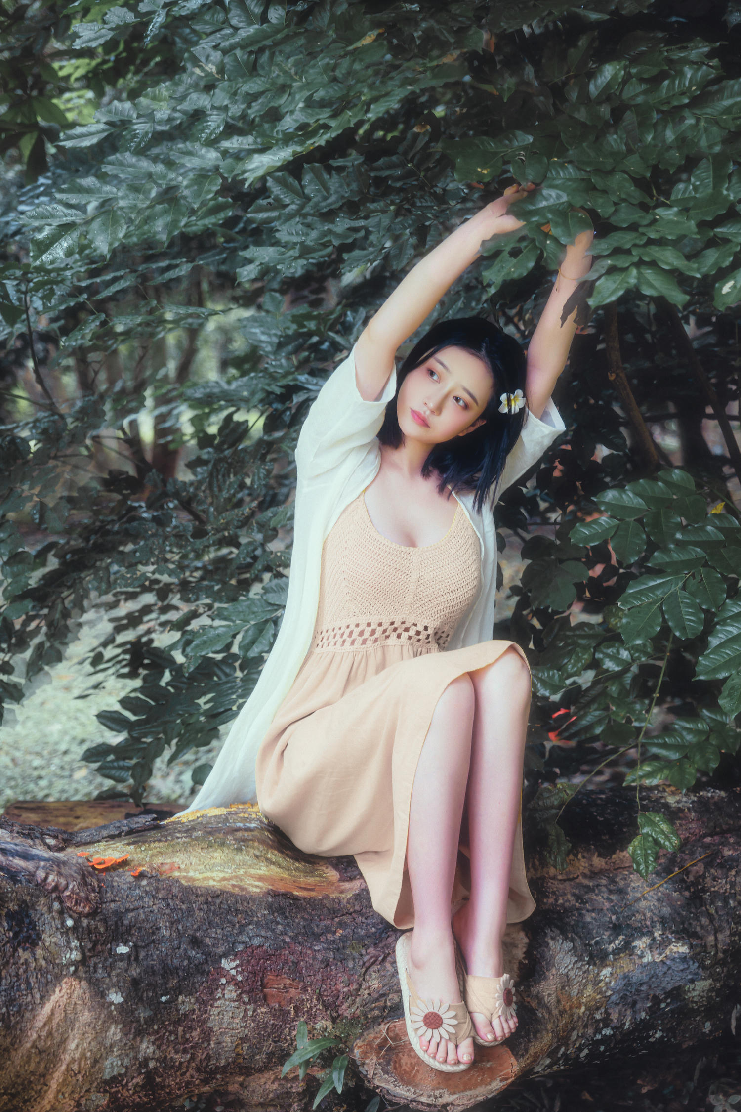 年年 NO.044 白露 [43P 437MB]_第1集