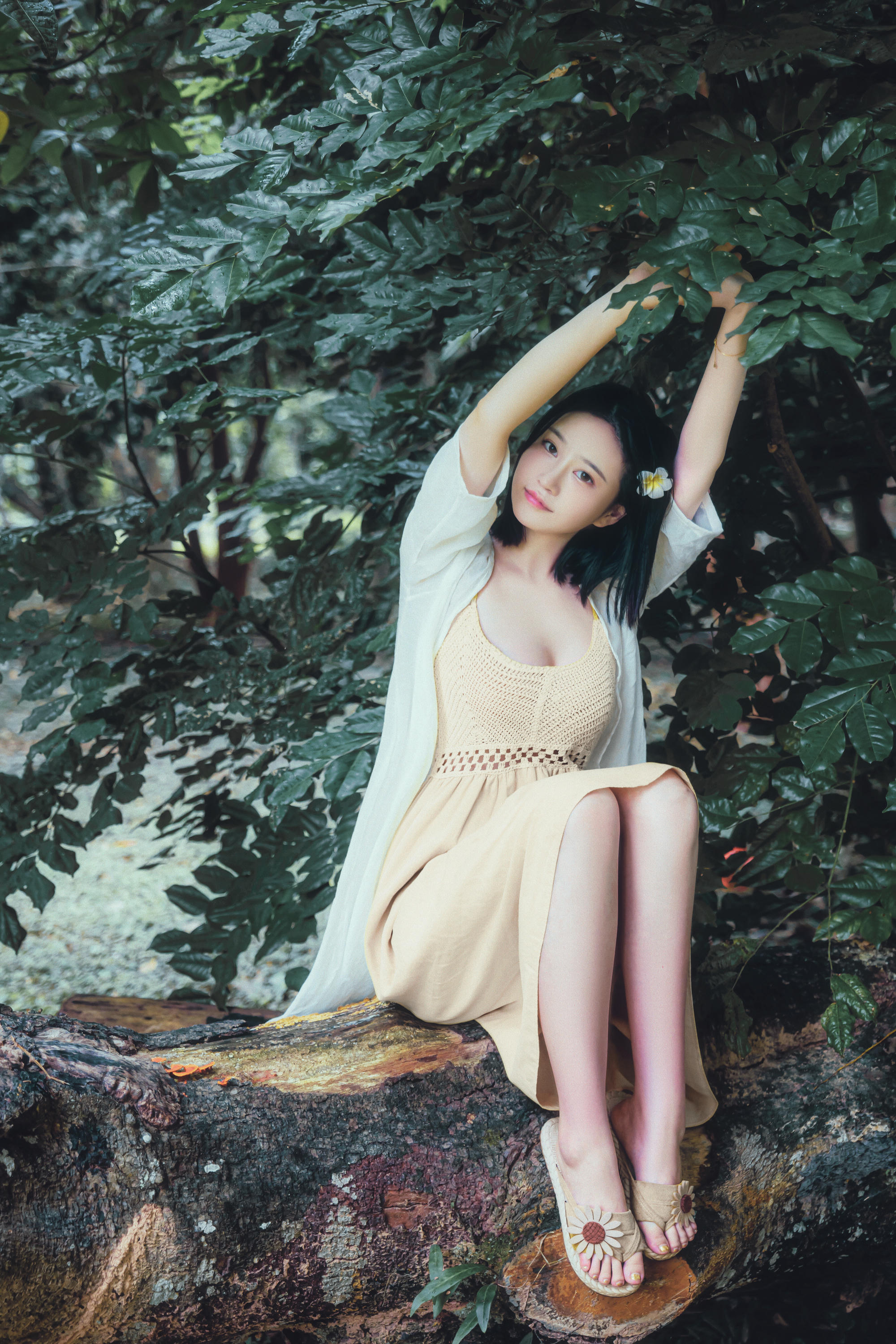 年年 NO.044 白露 [43P 437MB]_第1集