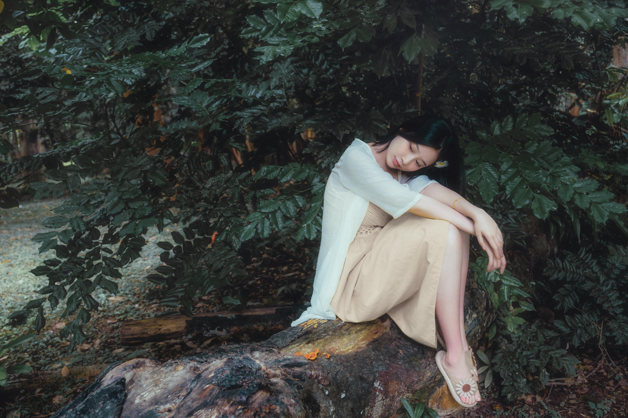 年年 NO.044 白露 [43P 437MB]_第1集