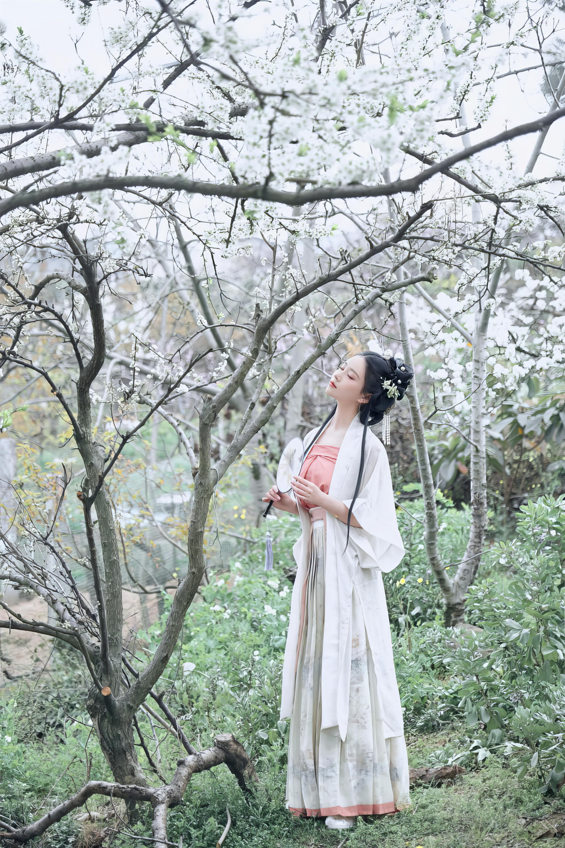 年年 NO.072 三月榕 [51P 171MB]_第1集