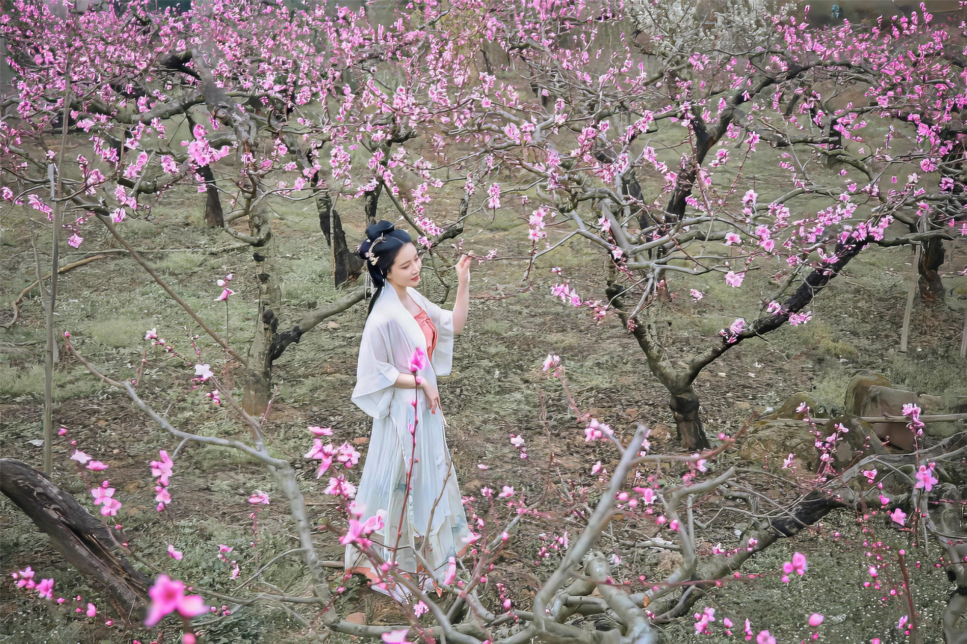 年年 NO.072 三月榕 [51P 171MB]_第1集