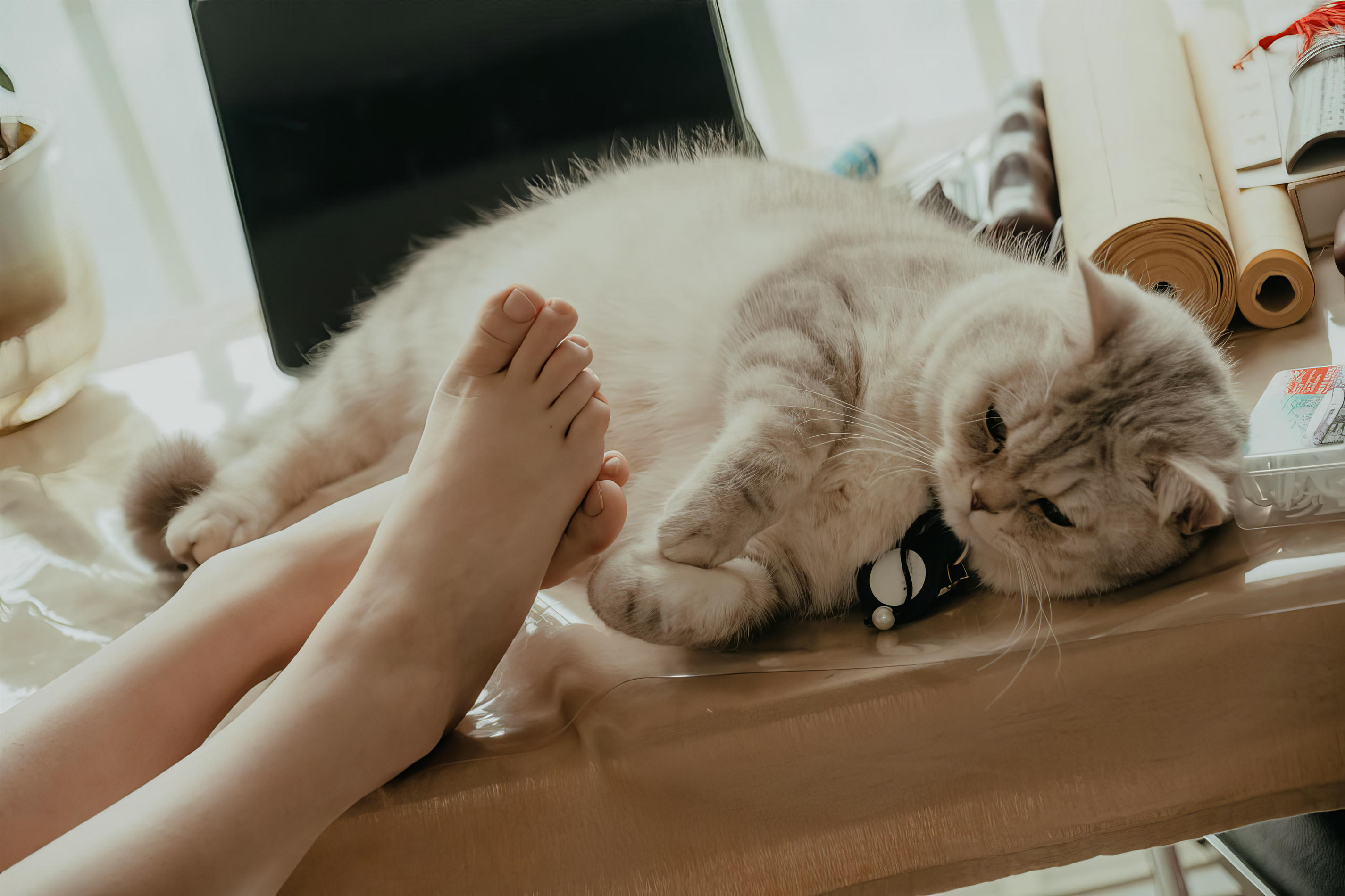 年年 NO.076 休闲时光 [45P 177MB]_第3集