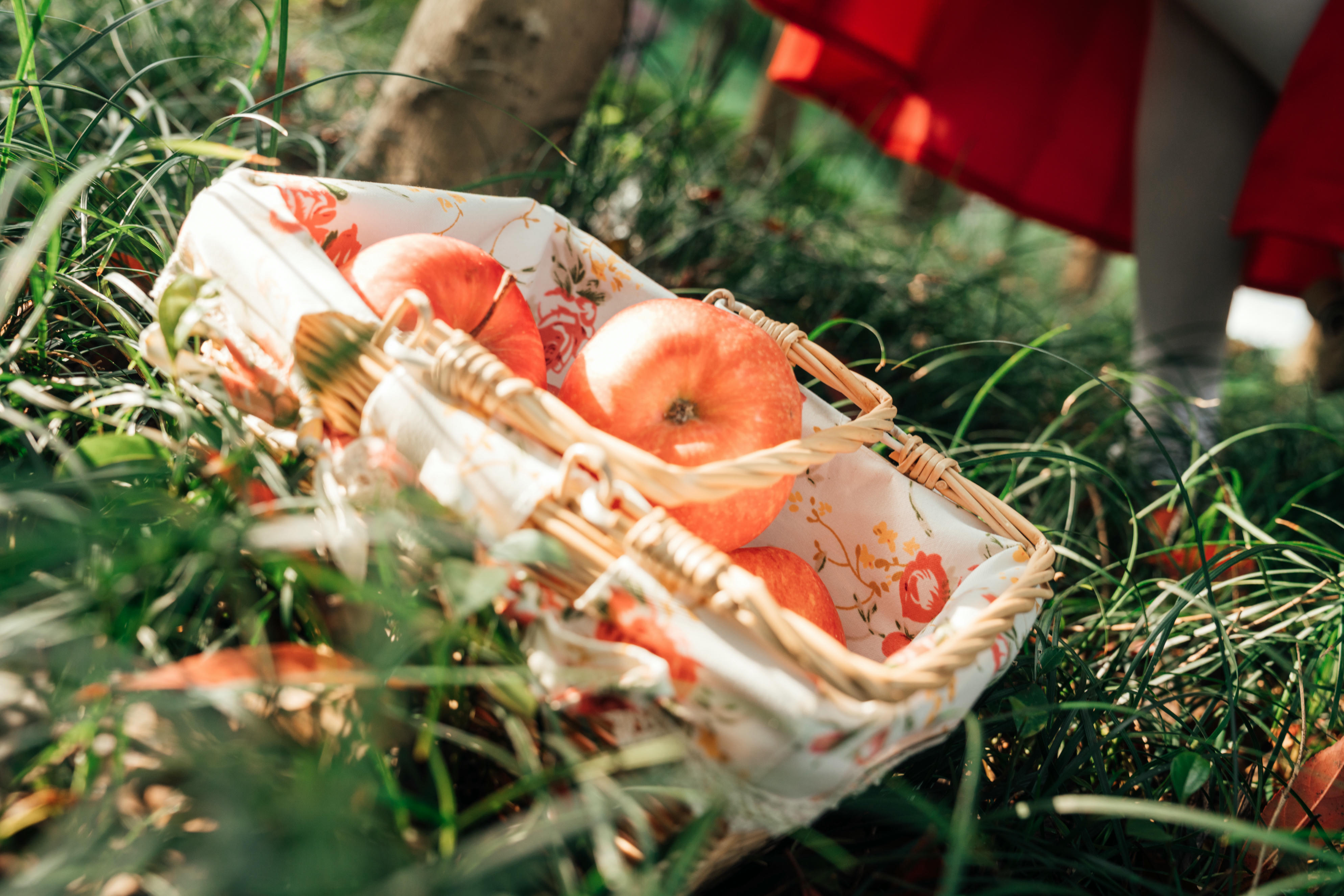 奈汐酱nice NO.022 大红帽 [31P2V-277MB]-图包_第2集