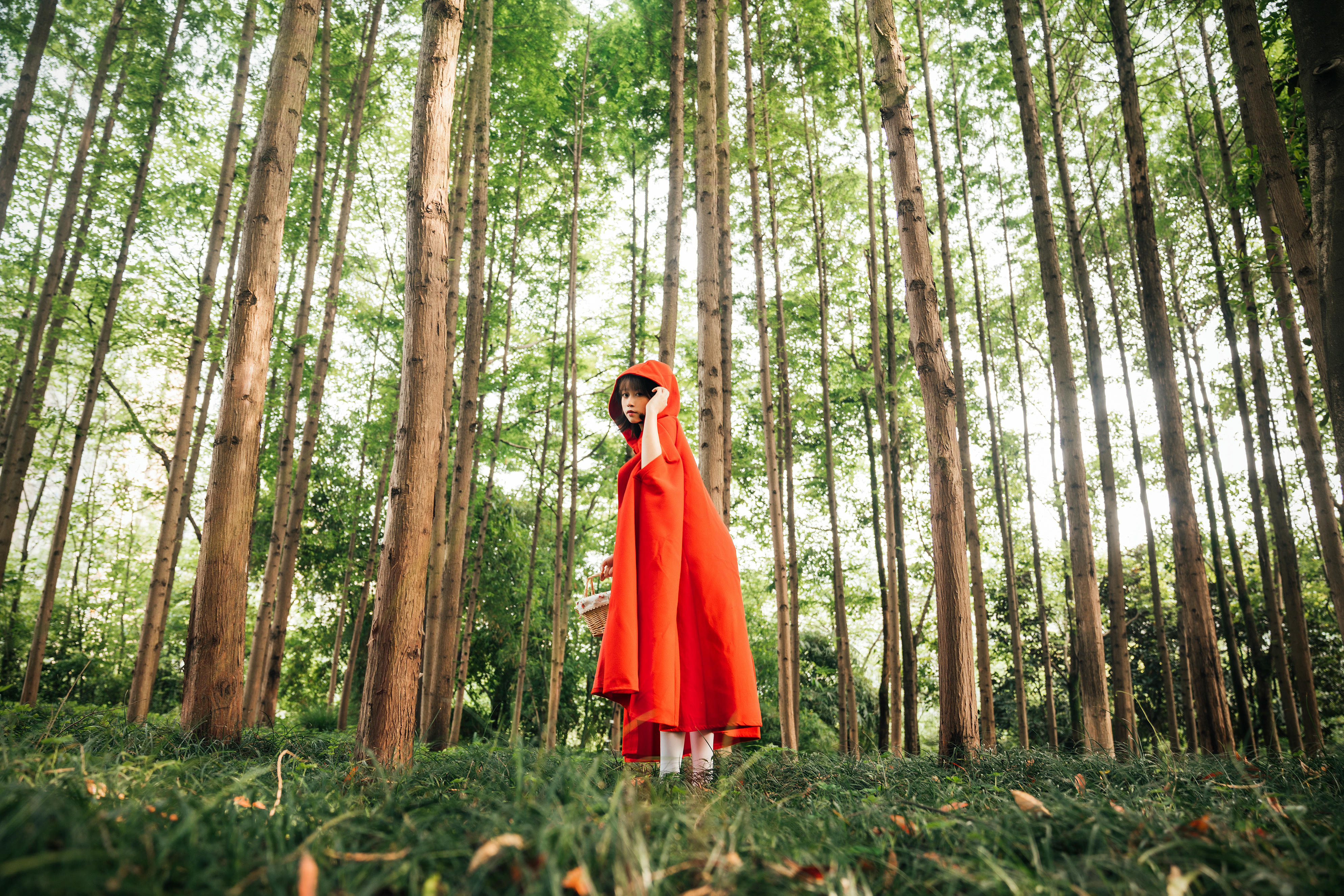 奈汐酱nice NO.022 大红帽 [31P2V-277MB]-图包_第2集