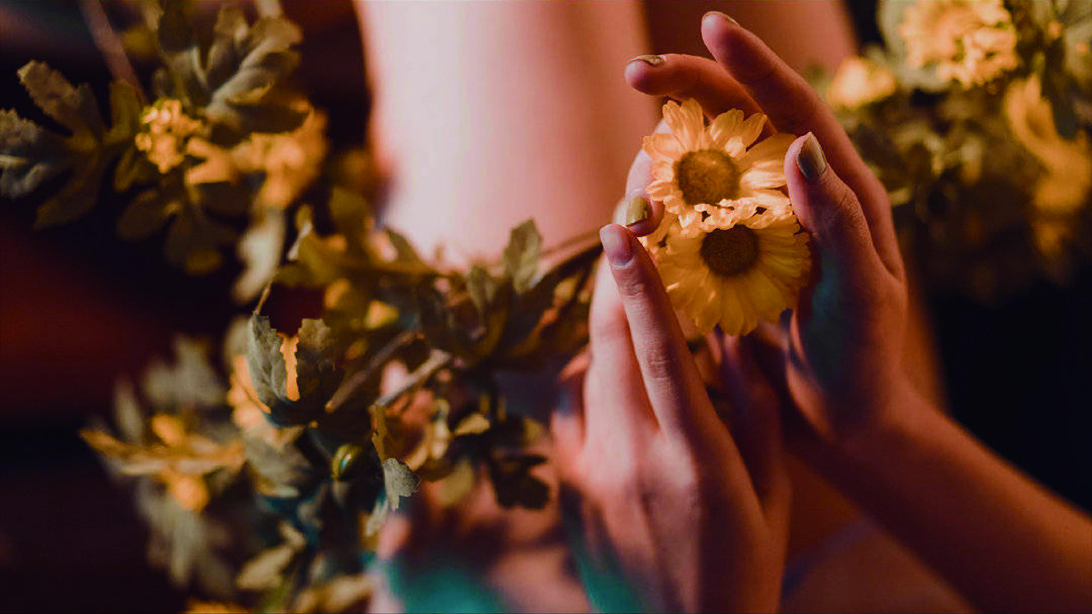 奈汐酱nice NO.008 小雏菊 [18P-125MB]_第1集