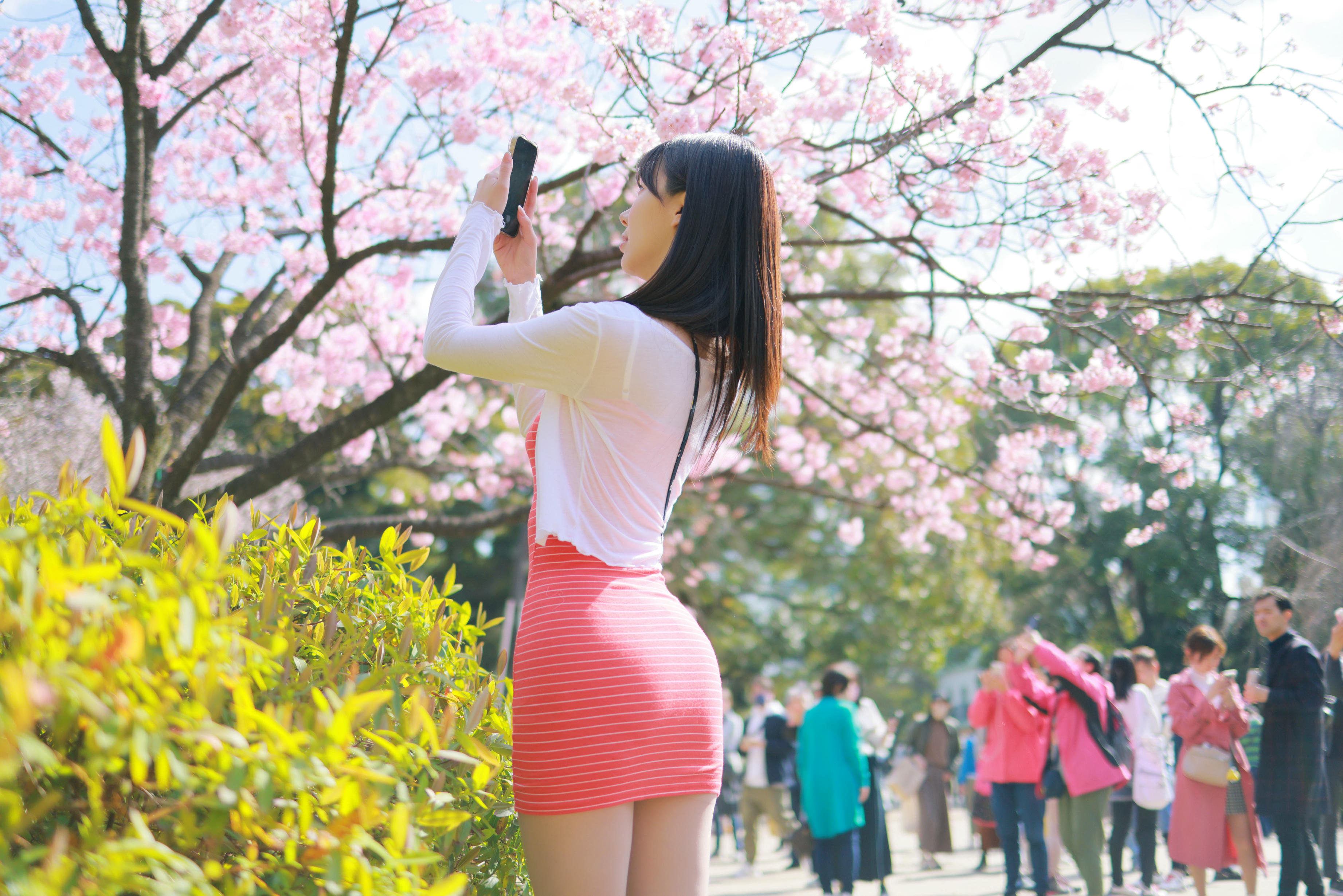 韩国美女-Patreon NO.065 쏘블리 (@leeesovely) Sakura [260P／1.25GB]_第7集
