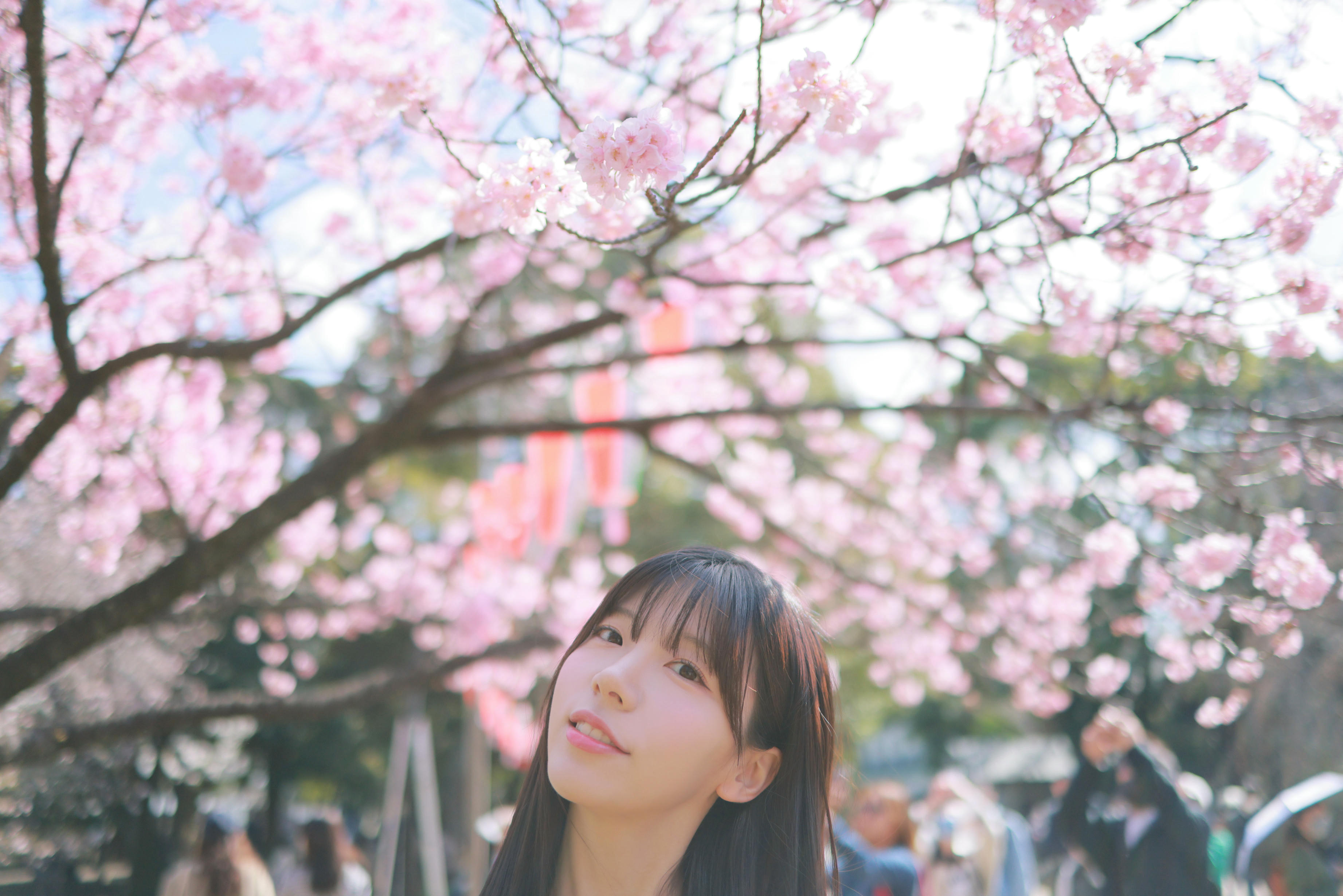 韩国美女-Patreon NO.065 쏘블리 (@leeesovely) Sakura [260P／1.25GB]_第7集