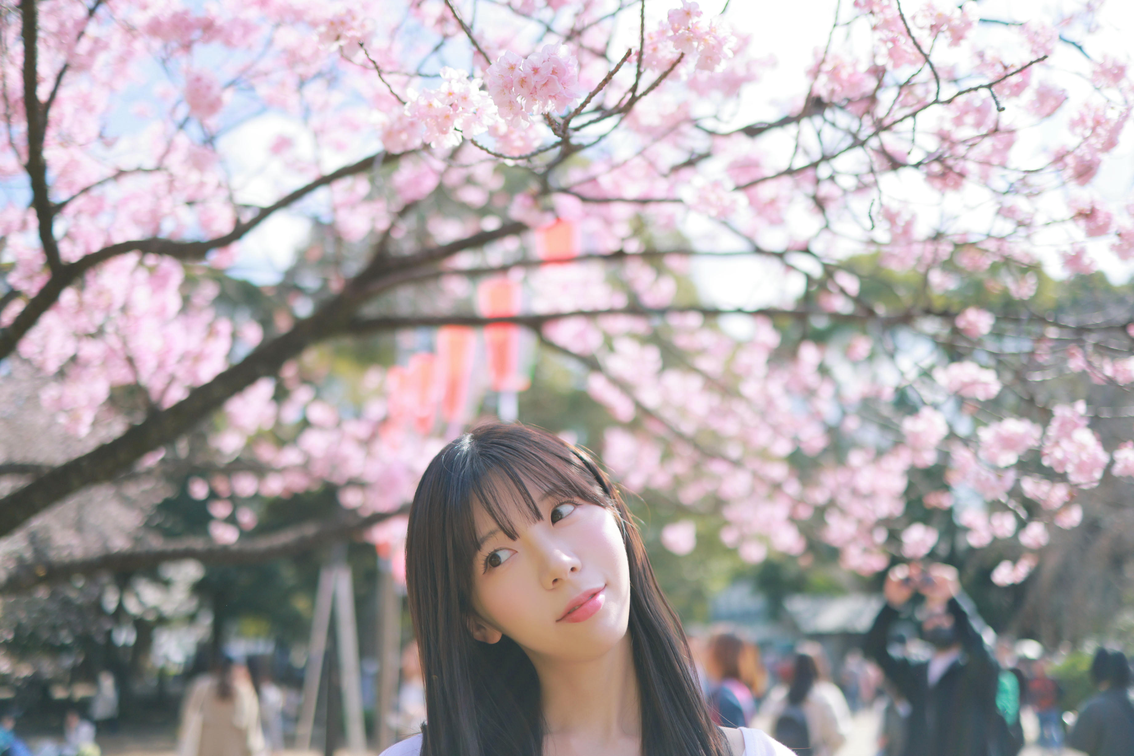 韩国美女-Patreon NO.065 쏘블리 (@leeesovely) Sakura [260P／1.25GB]_第7集