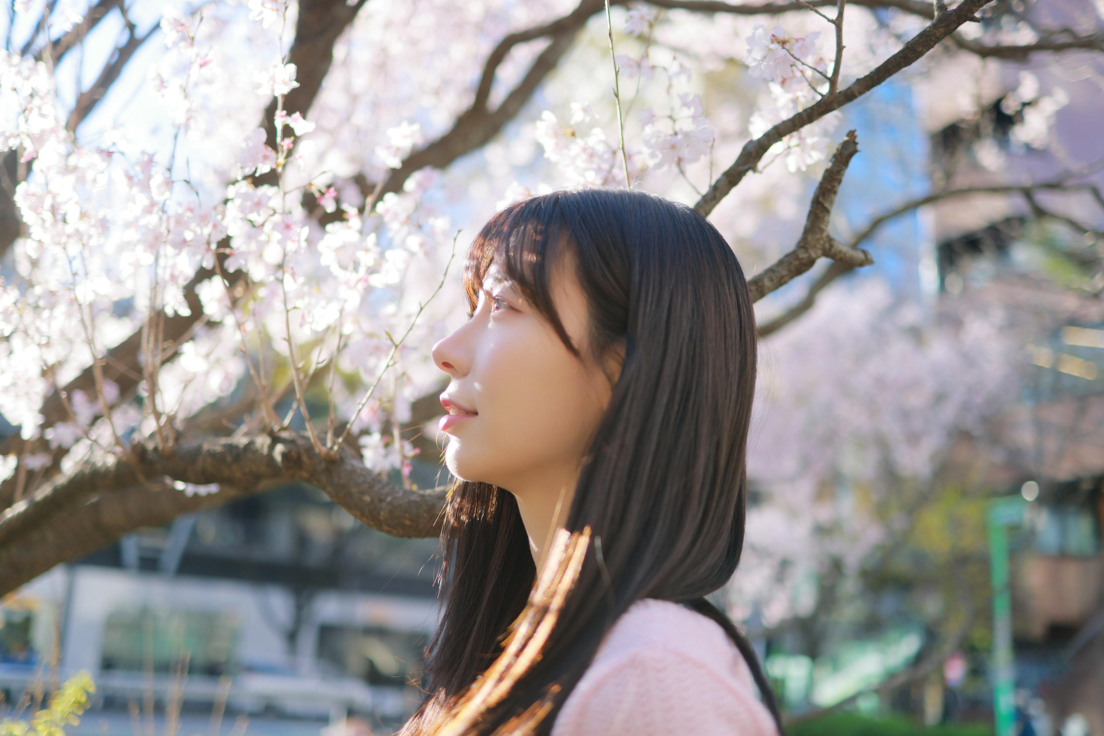 韩国美女-Patreon NO.065 쏘블리 (@leeesovely) Sakura [260P／1.25GB]_第1集
