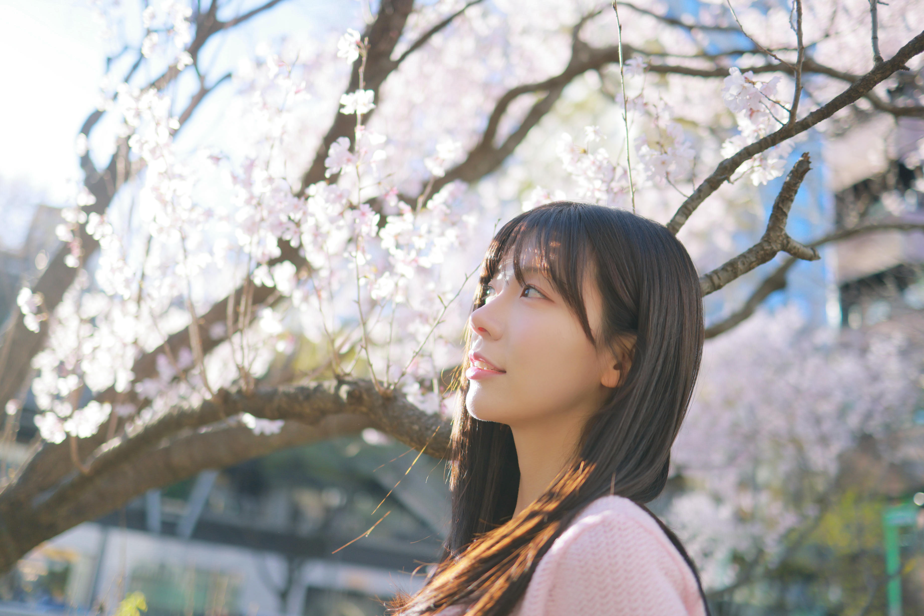 韩国美女-Patreon NO.065 쏘블리 (@leeesovely) Sakura [260P／1.25GB]_第1集