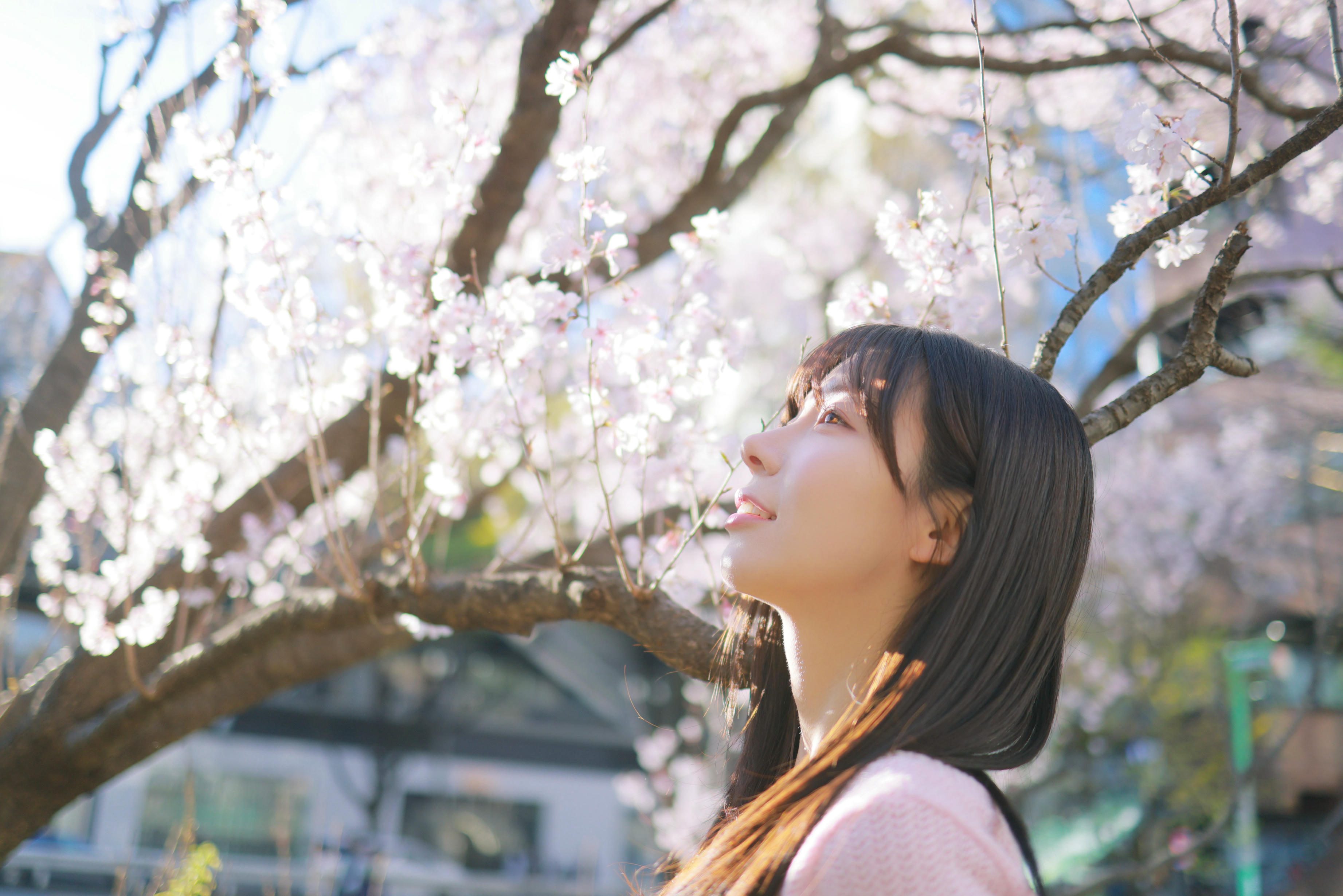 韩国美女-Patreon NO.065 쏘블리 (@leeesovely) Sakura [260P／1.25GB]_第1集