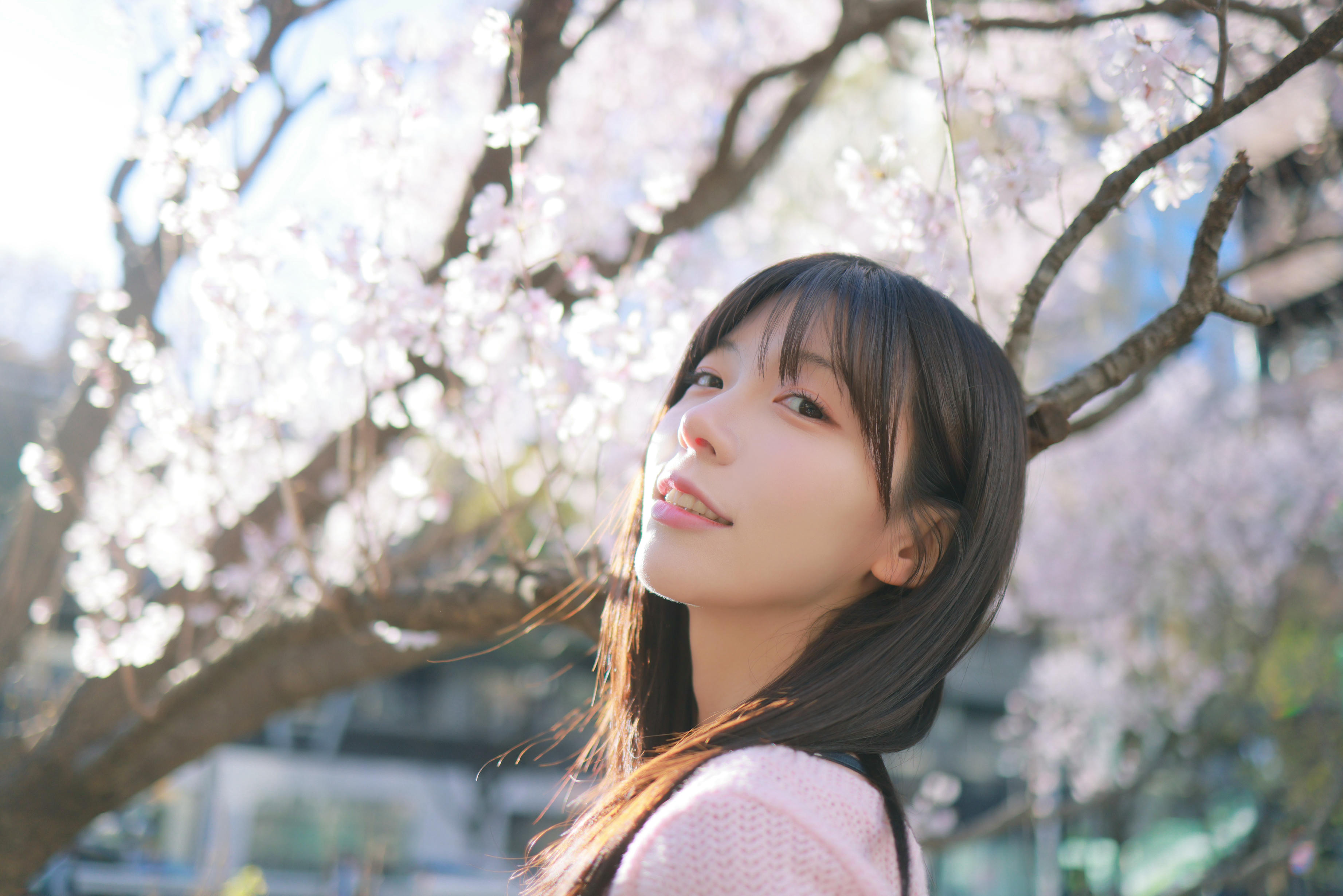 韩国美女-Patreon NO.065 쏘블리 (@leeesovely) Sakura [260P／1.25GB]_第1集
