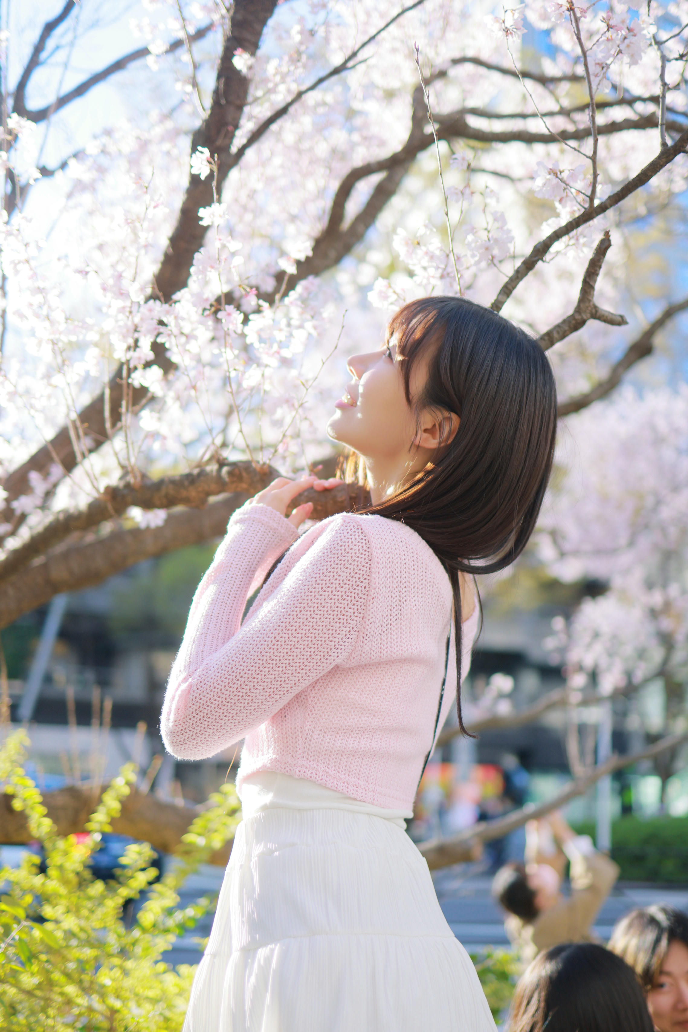 韩国美女-Patreon NO.065 쏘블리 (@leeesovely) Sakura [260P／1.25GB]_第2集