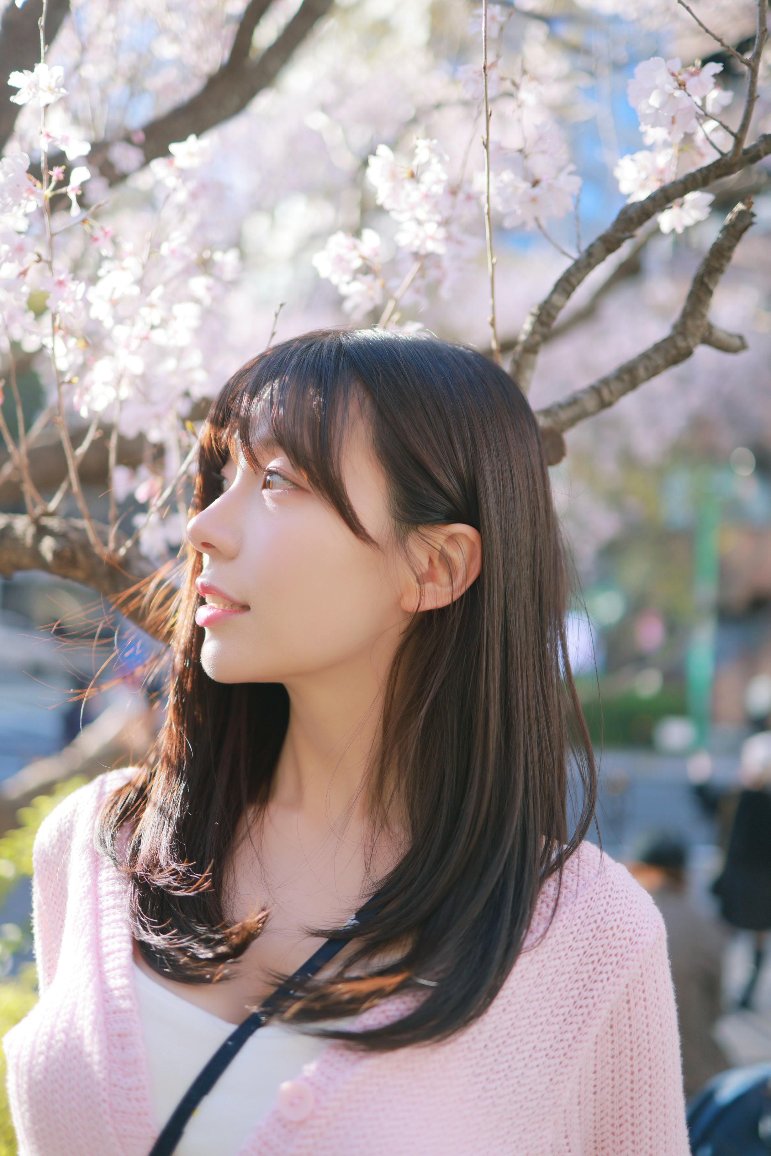 韩国美女-Patreon NO.065 쏘블리 (@leeesovely) Sakura [260P／1.25GB]_第2集