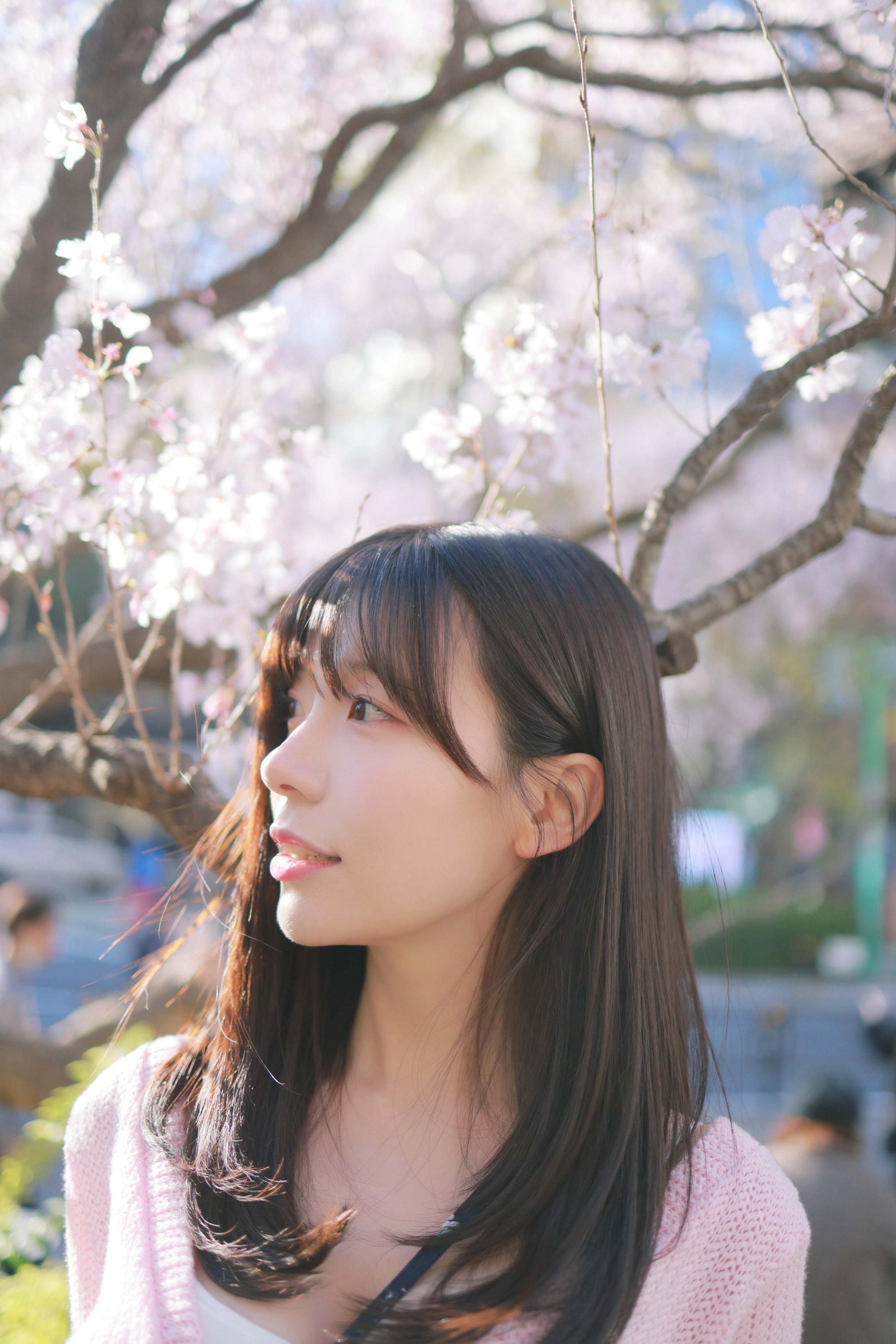 韩国美女-Patreon NO.065 쏘블리 (@leeesovely) Sakura [260P／1.25GB]_第2集