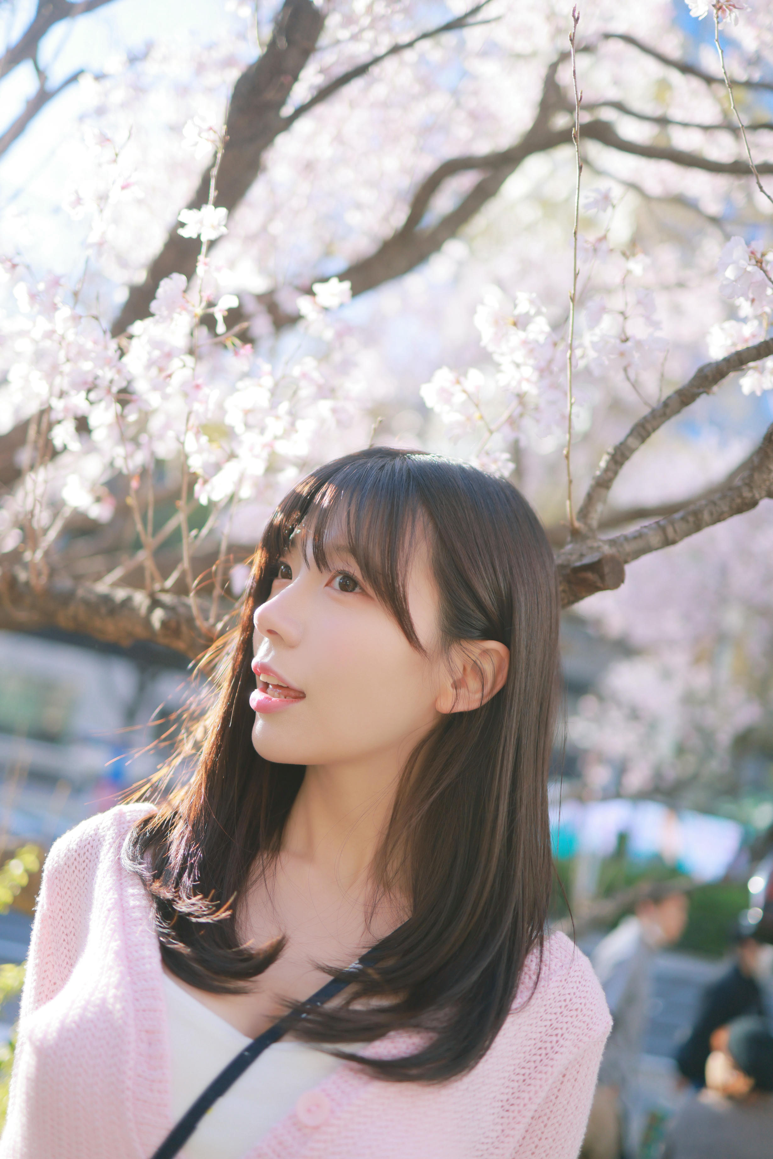 韩国美女-Patreon NO.065 쏘블리 (@leeesovely) Sakura [260P／1.25GB]_第2集