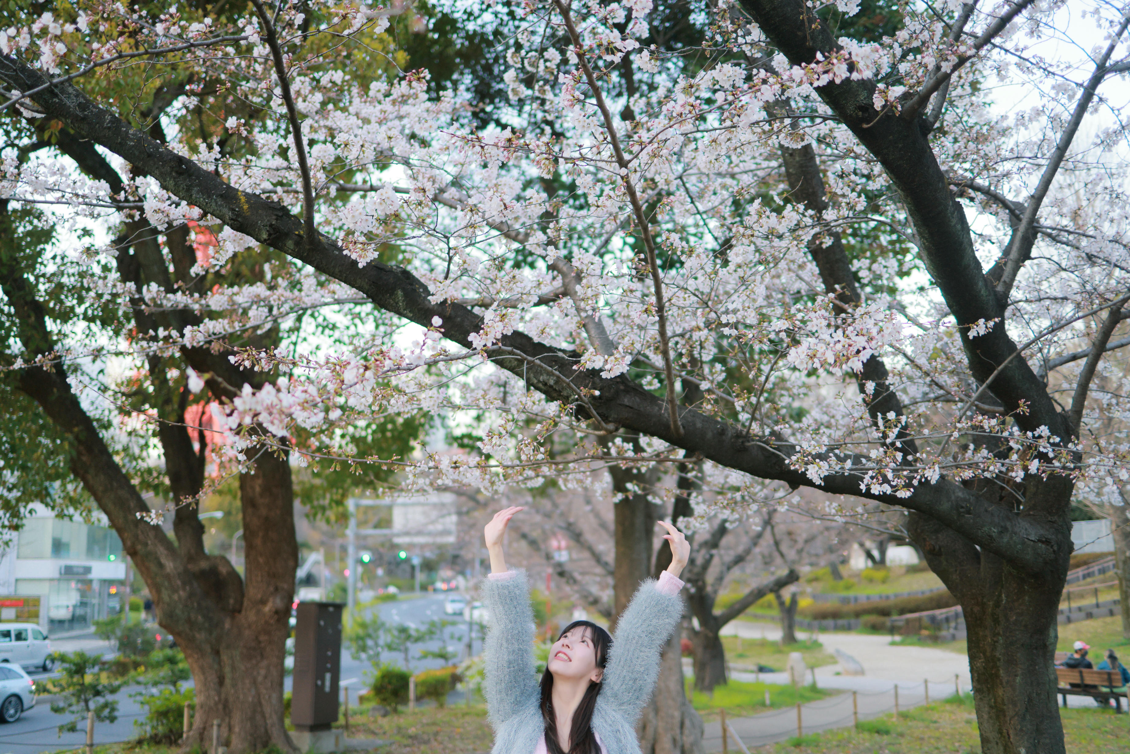 韩国美女-Patreon NO.065 쏘블리 (@leeesovely) Sakura [260P／1.25GB]_第3集
