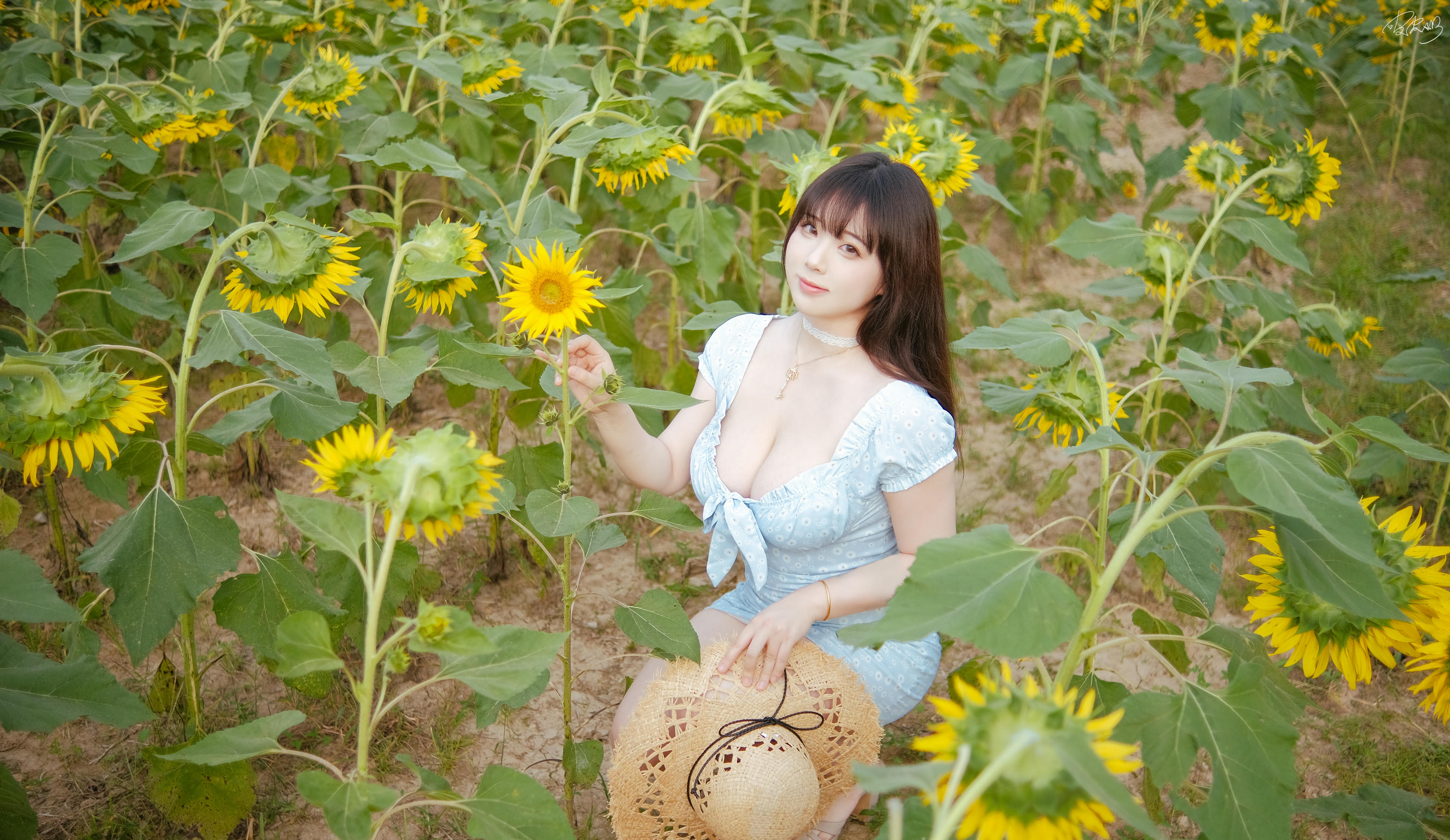 皮皮奶可可爱了啦 NO.055 彼女向日葵 [35P 251MB]_第1集