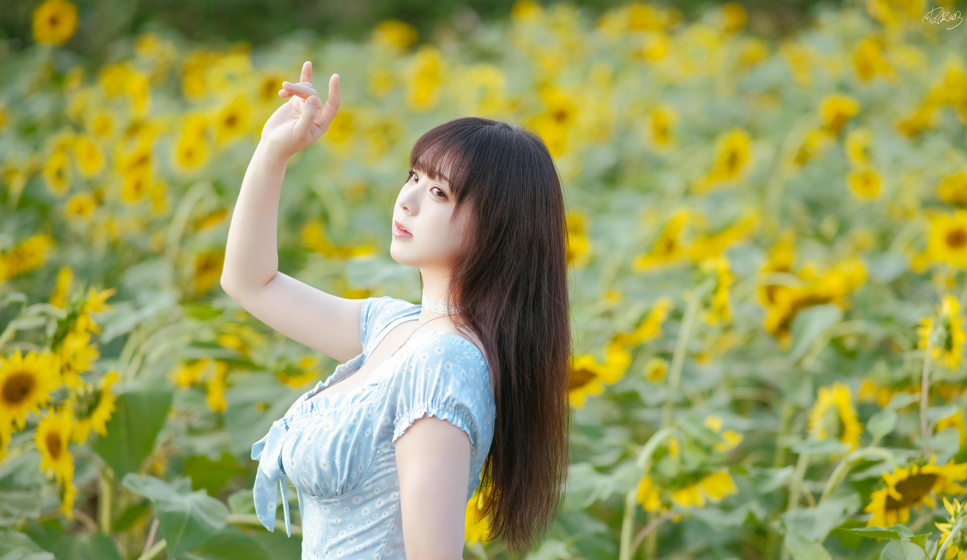 皮皮奶可可爱了啦 NO.055 彼女向日葵 [35P 251MB]_第1集