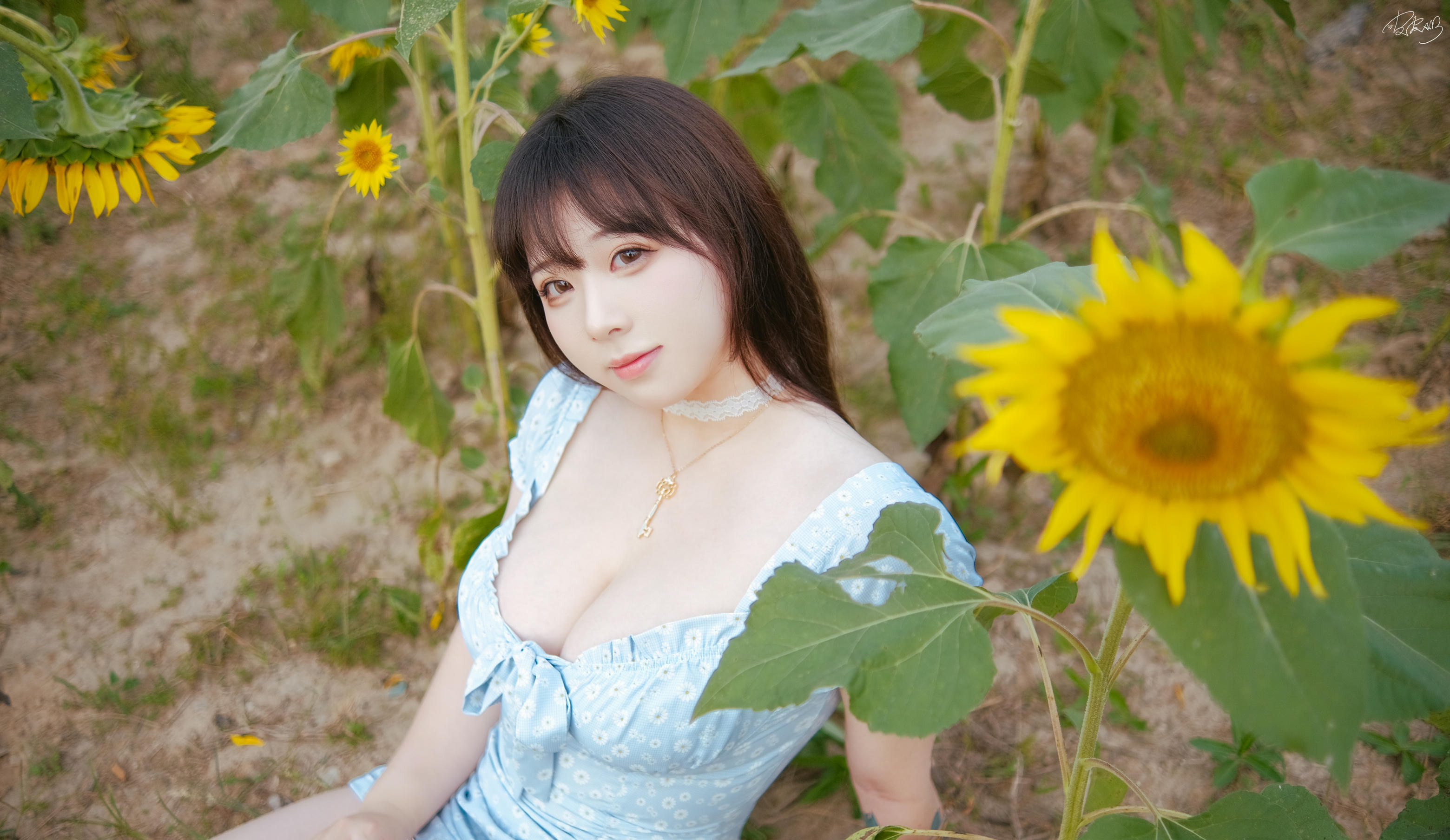 皮皮奶可可爱了啦 NO.055 彼女向日葵 [35P 251MB]_第2集