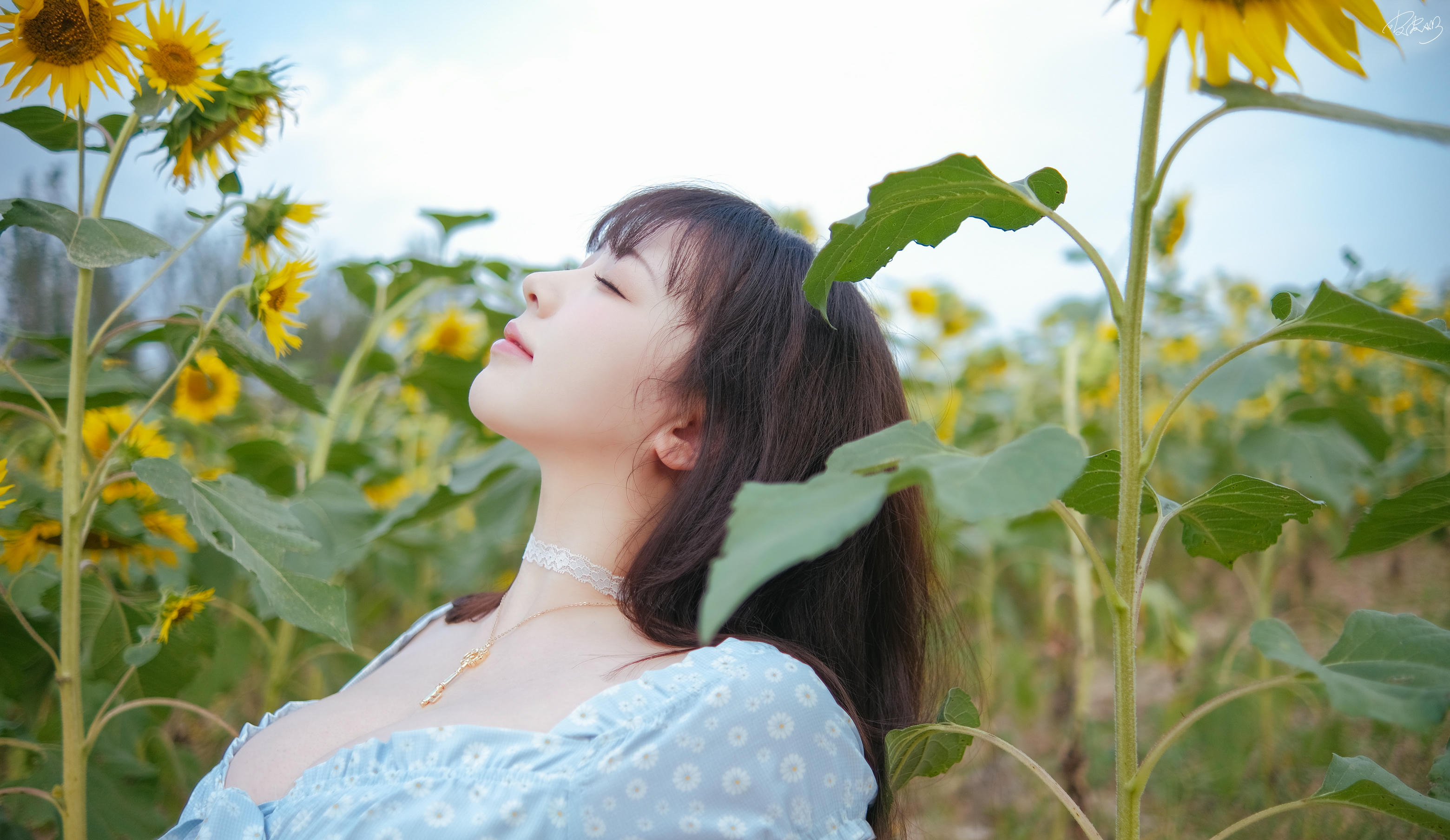 皮皮奶可可爱了啦 NO.055 彼女向日葵 [35P 251MB]_第2集