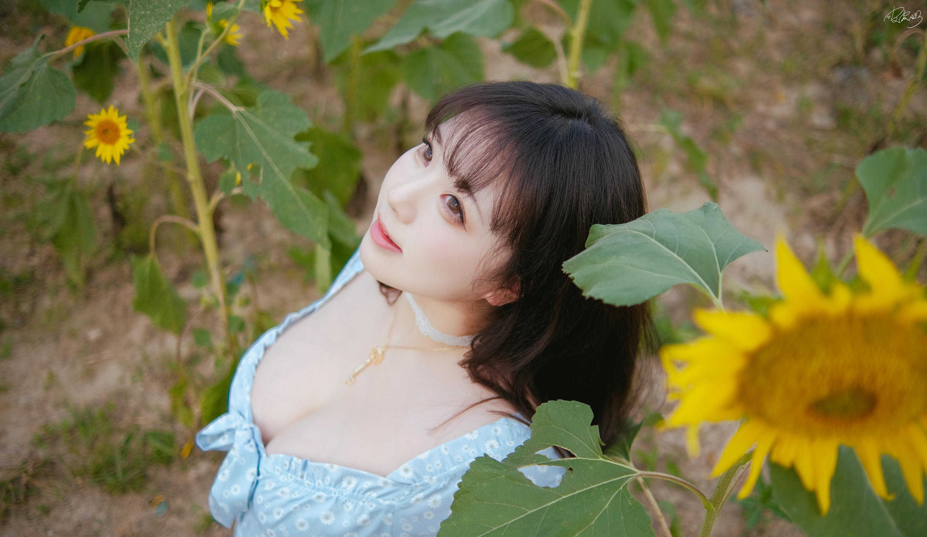 皮皮奶可可爱了啦 NO.055 彼女向日葵 [35P 251MB]_第2集