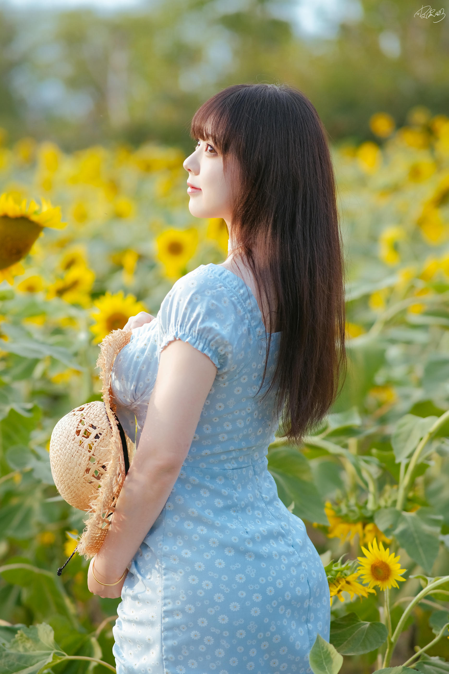 皮皮奶可可爱了啦 NO.055 彼女向日葵 [35P 251MB]_第1集