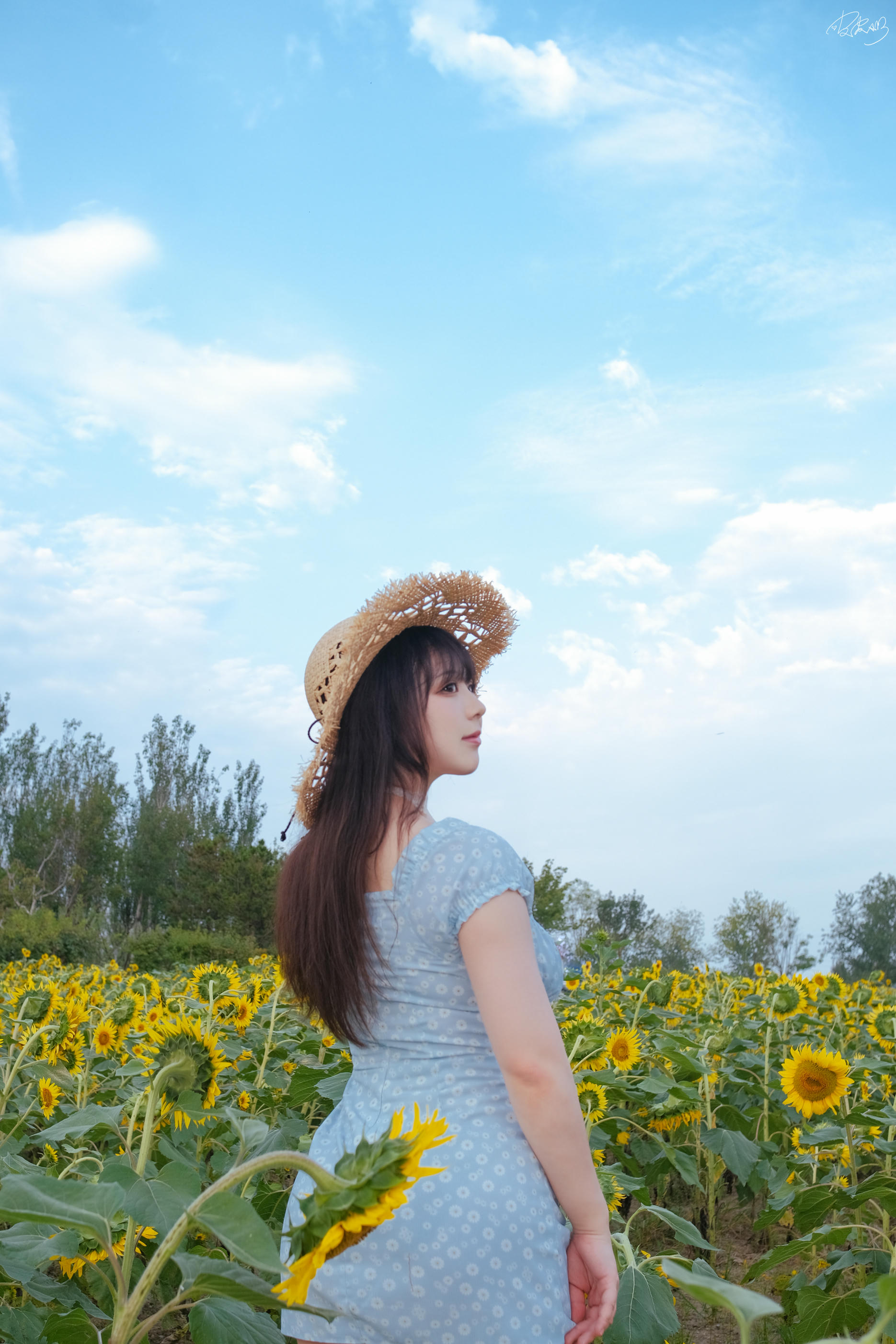 皮皮奶可可爱了啦 NO.055 彼女向日葵 [35P 251MB]_第2集