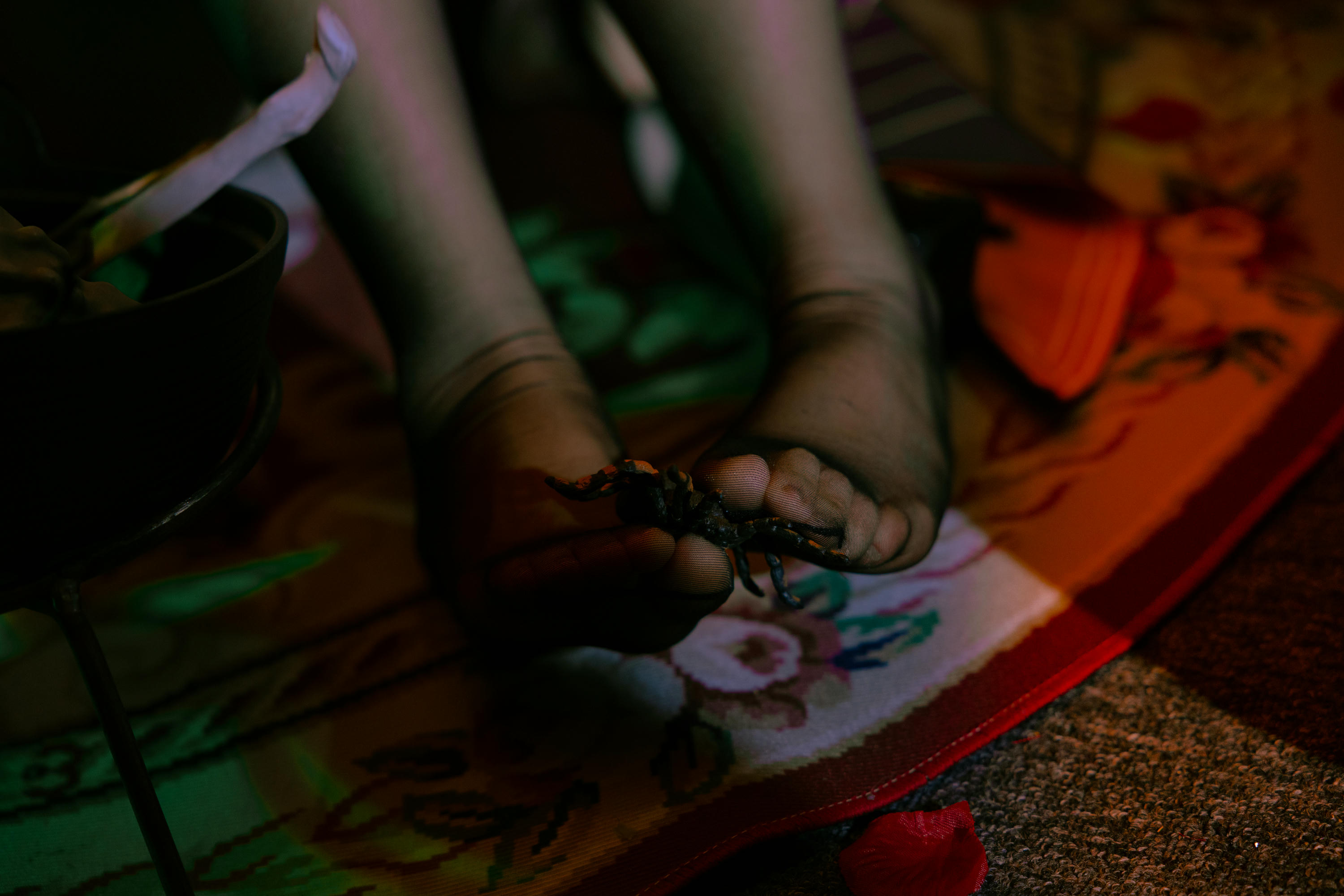 日奈娇 NO.088 孟菲斯 [25P 414MB]_第1集