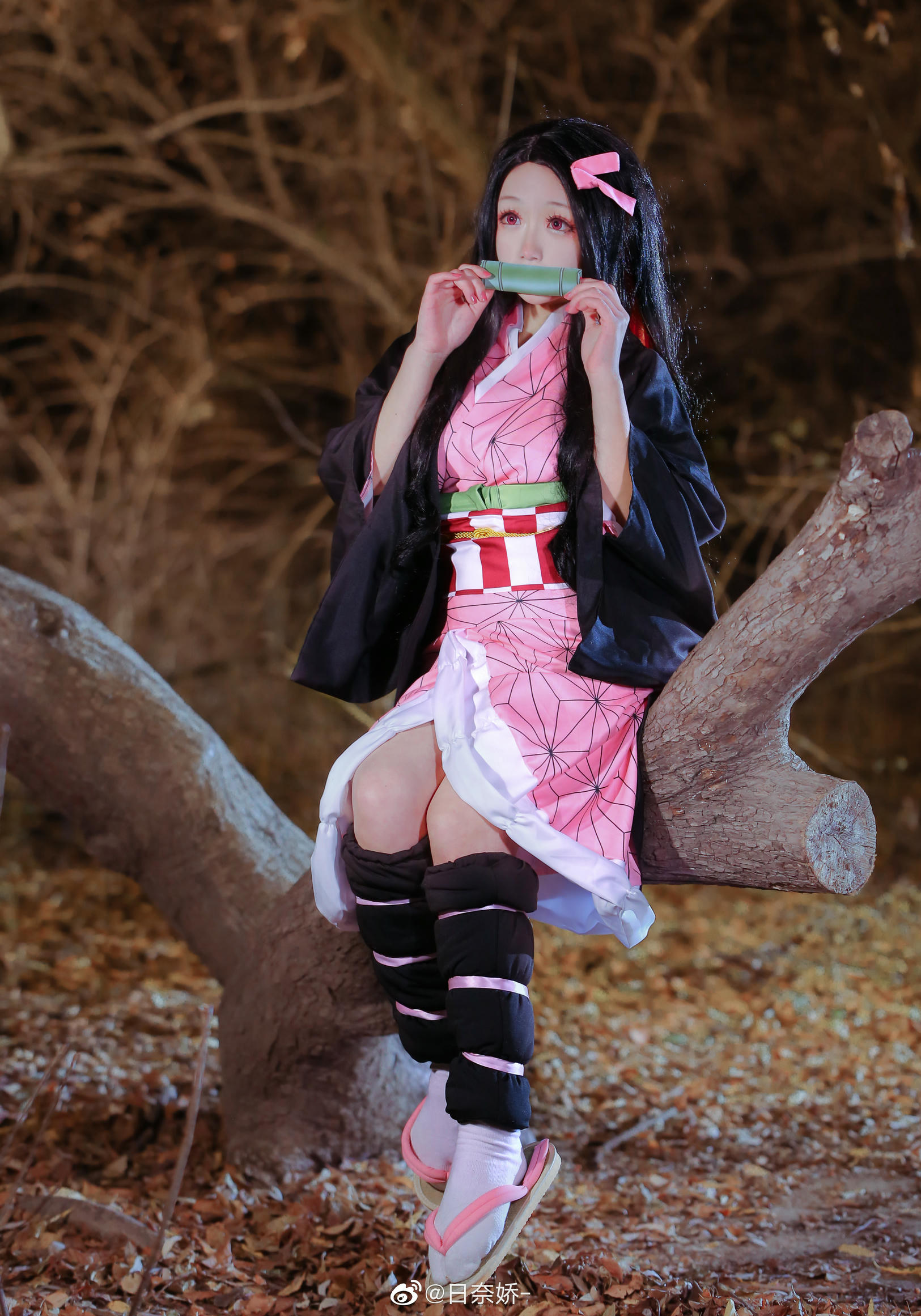 日奈娇 灶门祢豆子_第1集