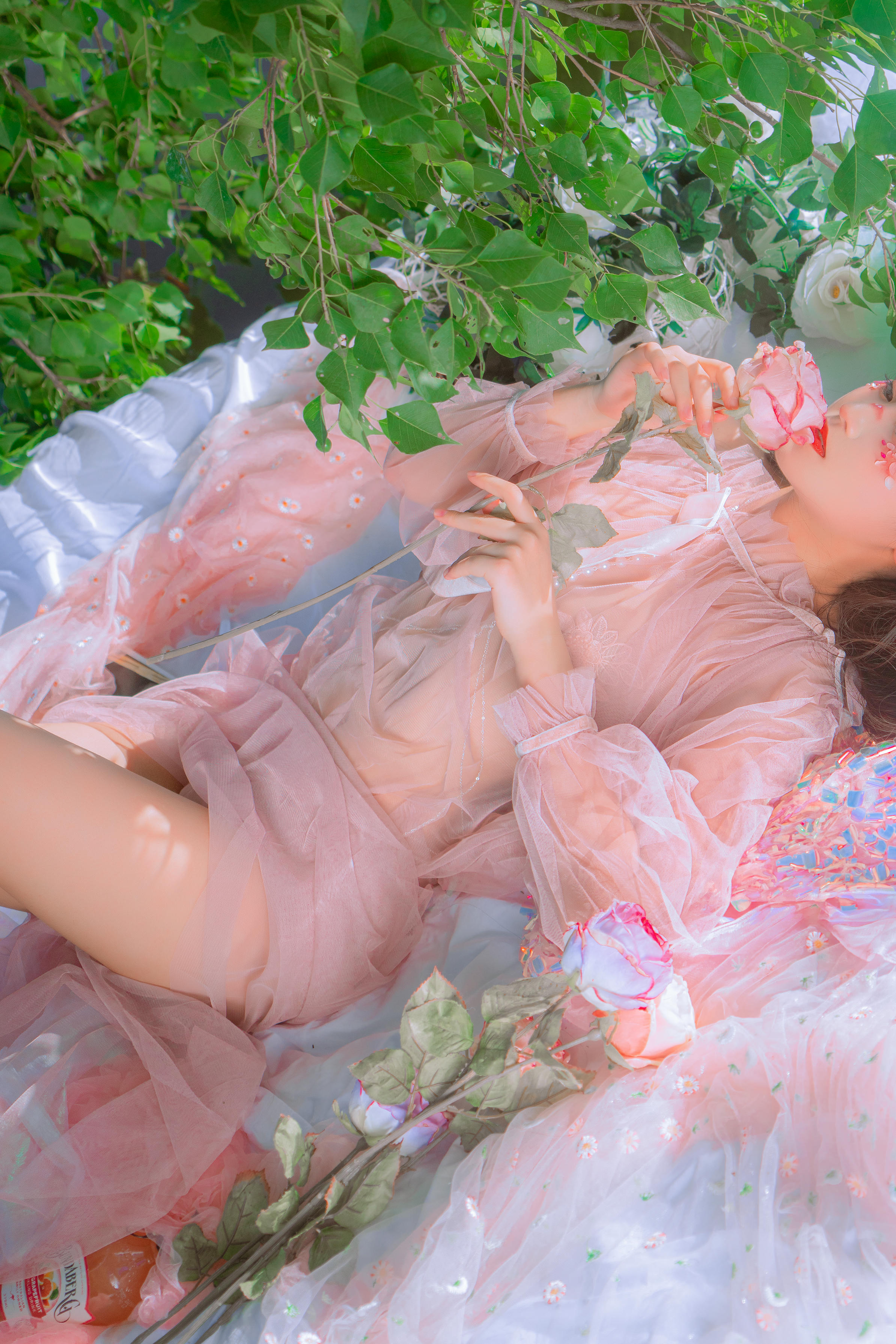 三度_69 NO.055 水边的阿狄丽娜 [32P-740M]_第2集