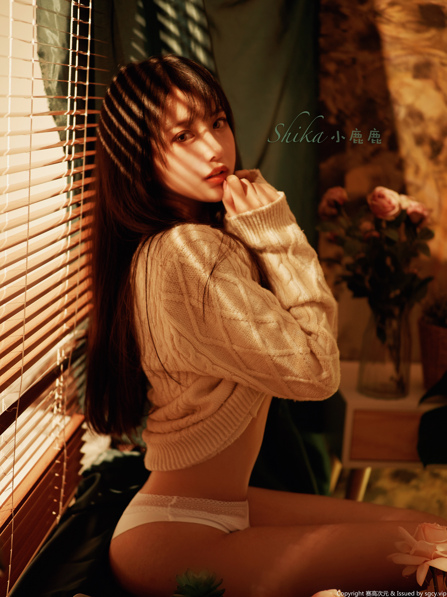 Shika小鹿鹿 NO.000 30W粉丝福利 [23P 425MB]_第1集