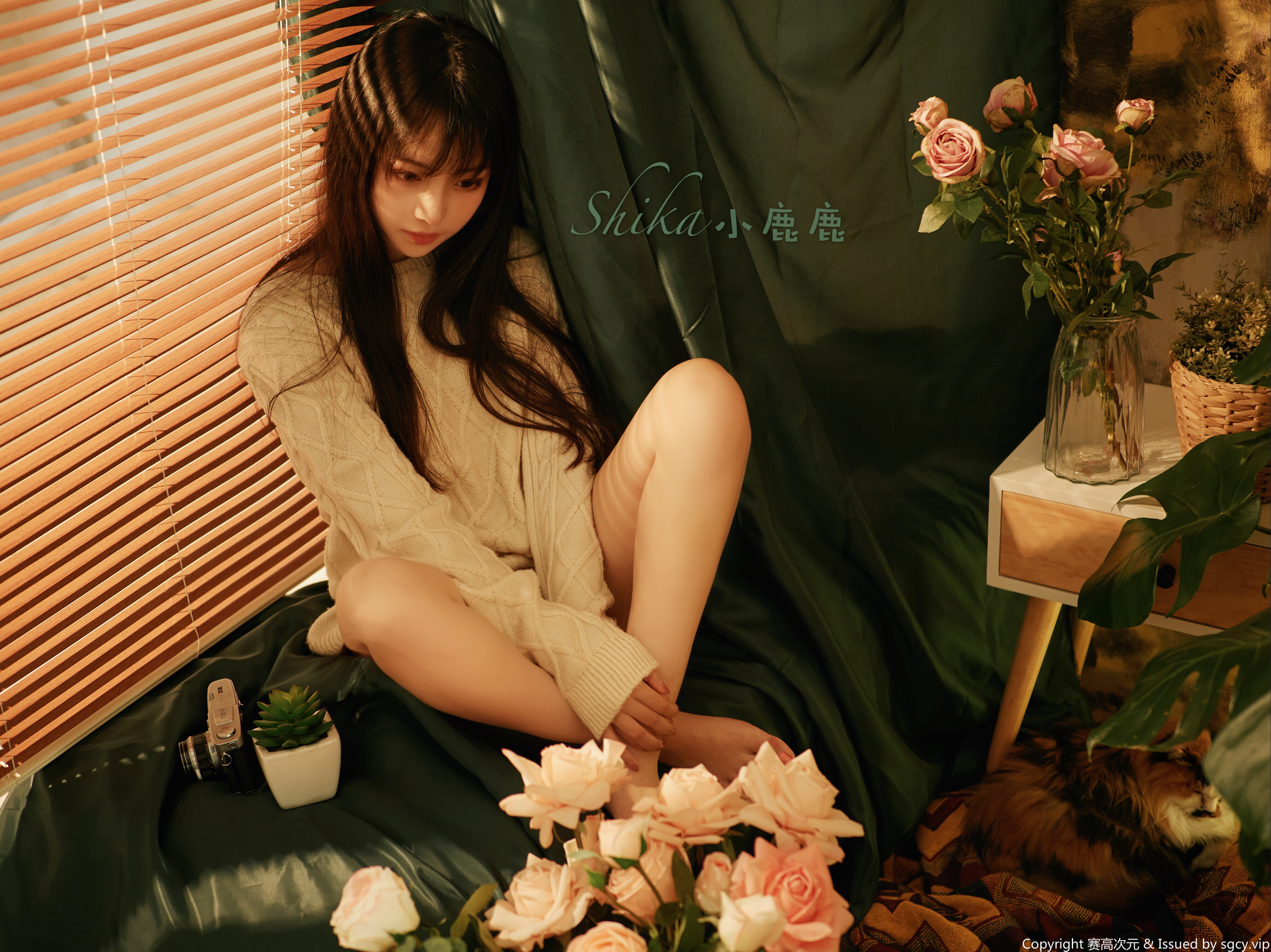 Shika小鹿鹿 NO.000 30W粉丝福利 [23P 425MB]_第1集