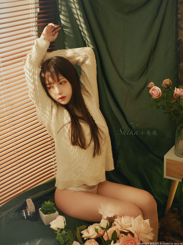 Shika小鹿鹿 NO.000 30W粉丝福利 [23P 425MB]_第1集