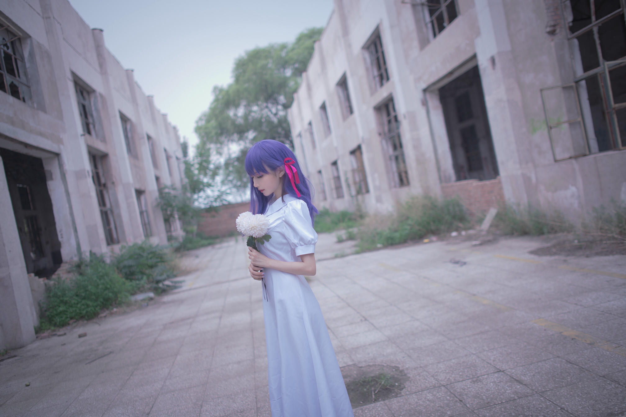 Shika小鹿鹿 NO.021 间桐樱 hf [15P-31MB]_第1集