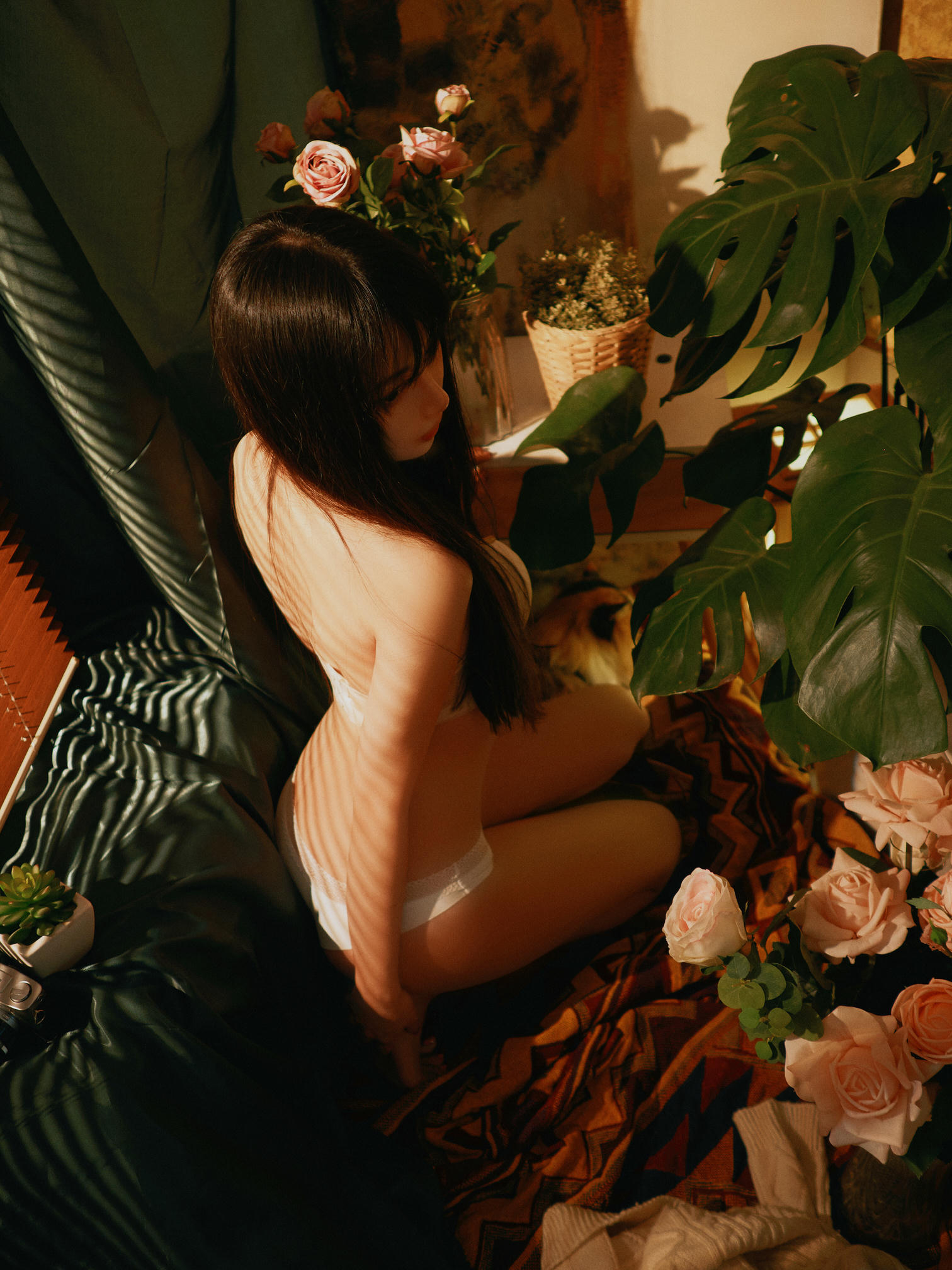 Shika小鹿鹿 NO.027 内衣图包 [9P-137MB]_第1集