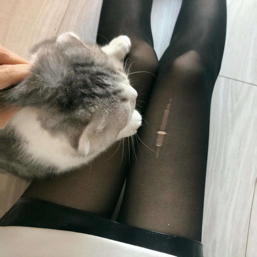 Shika小鹿鹿 NO.054 东京自拍 [50P-60MB]_第2集