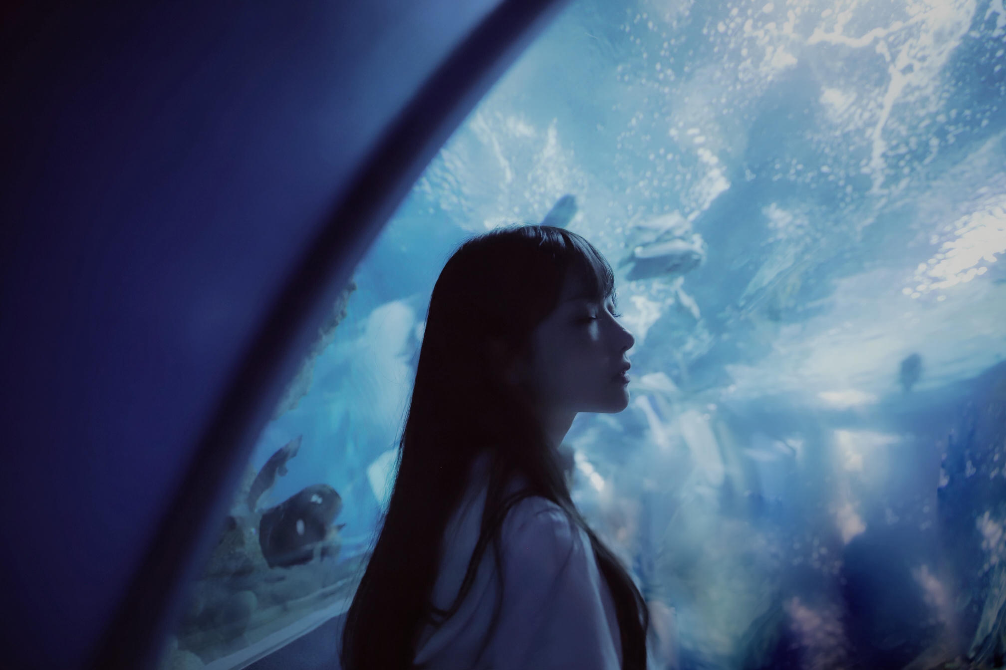 Shika小鹿鹿 NO.059 生日作 电子图 [65P-174MB]_第2集