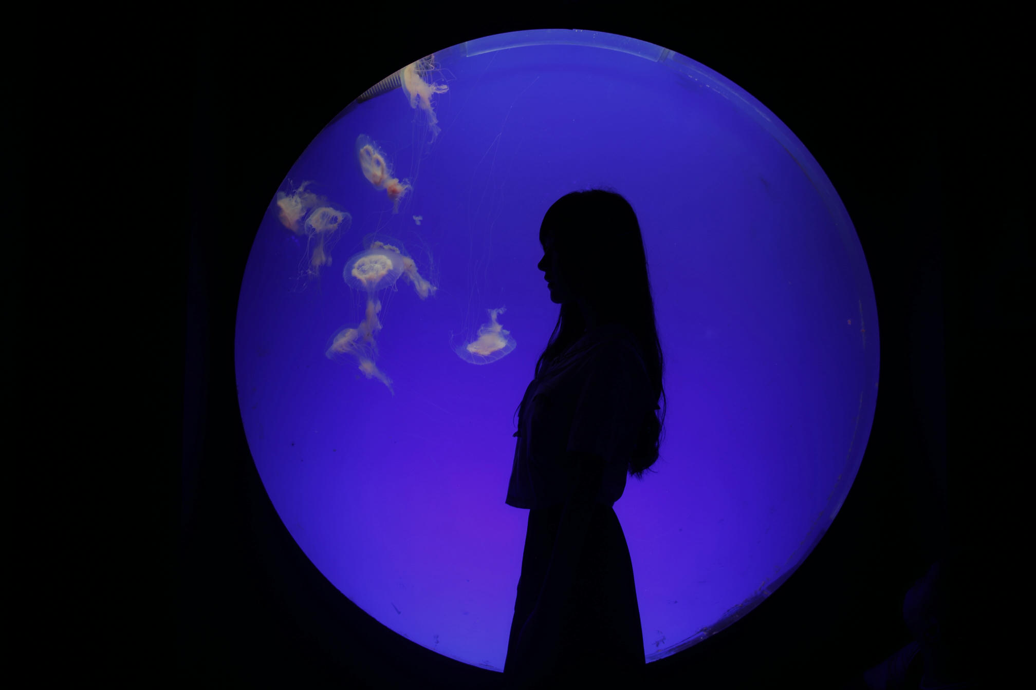 Shika小鹿鹿 NO.059 生日作 电子图 [65P-174MB]_第2集