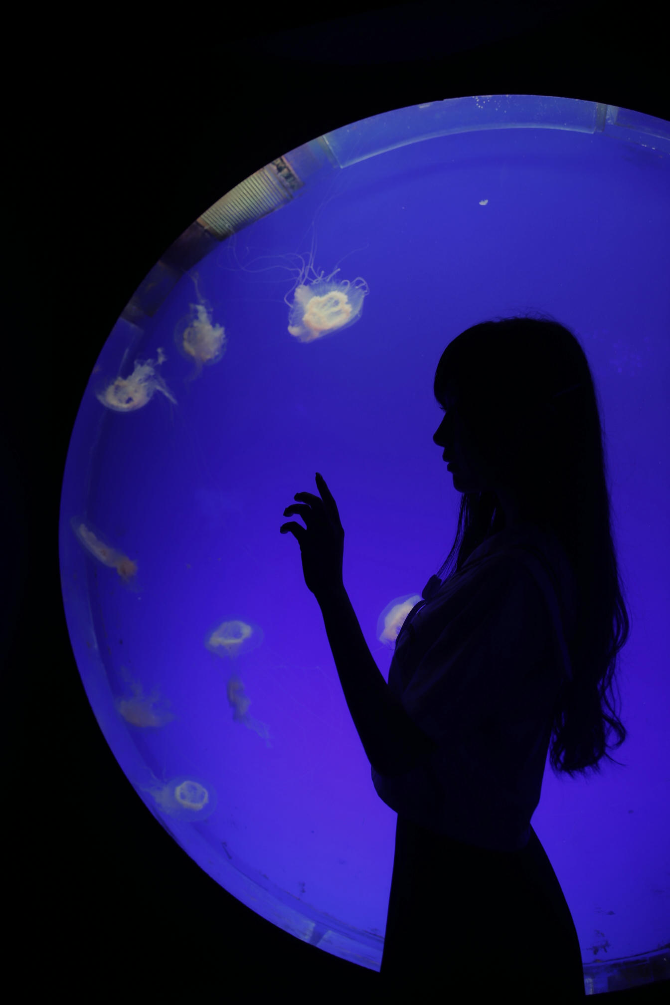 Shika小鹿鹿 NO.059 生日作 电子图 [65P-174MB]_第2集