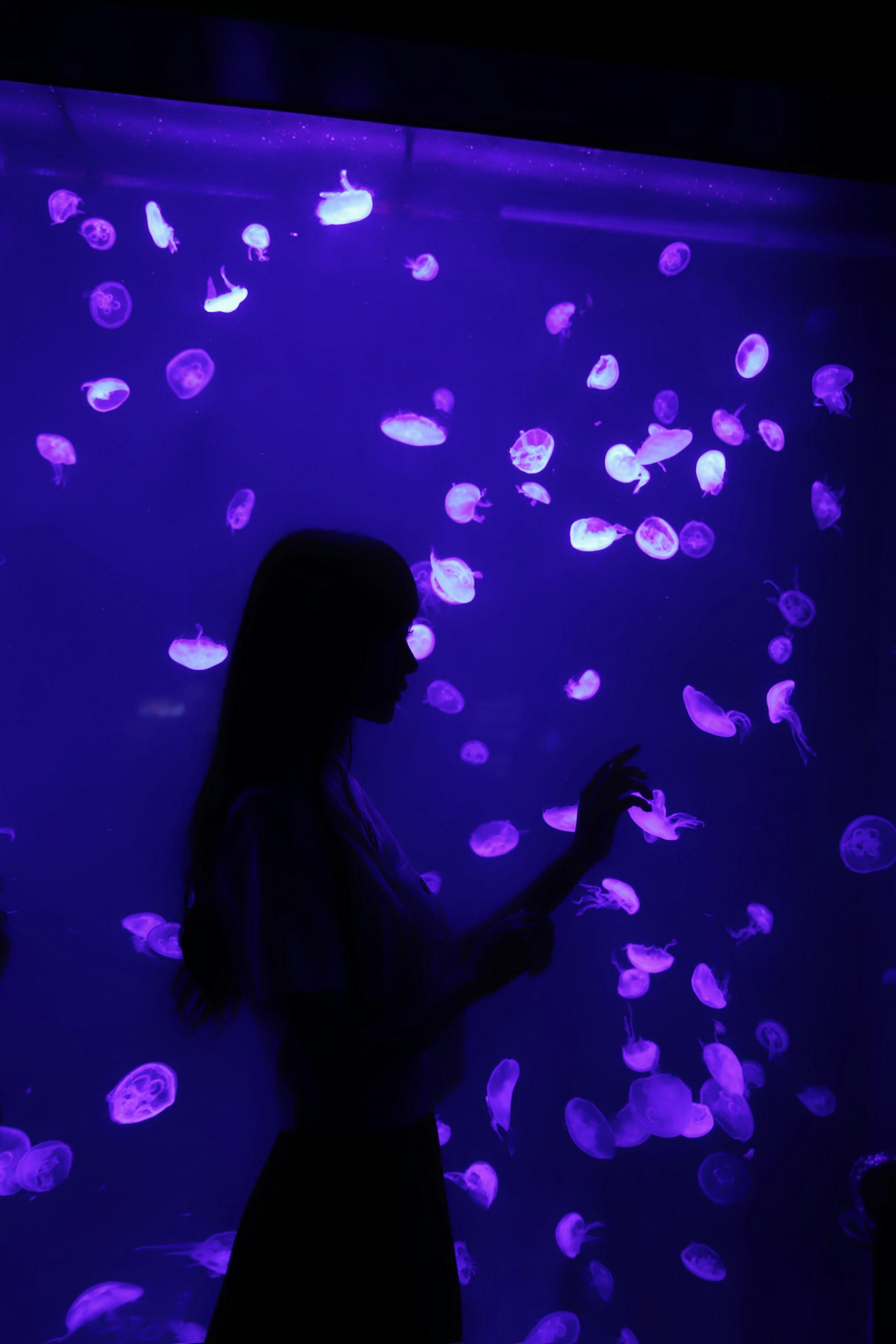 Shika小鹿鹿 NO.059 生日作 电子图 [65P-174MB]_第2集