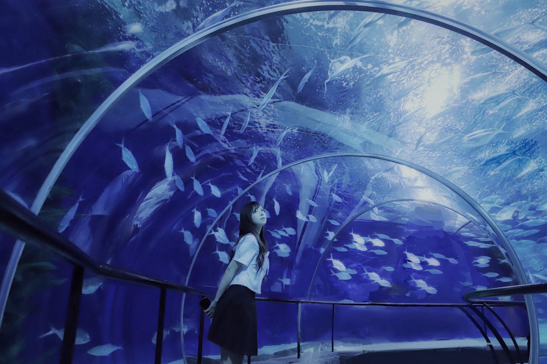 Shika小鹿鹿 NO.059 生日作 电子图 [65P-174MB]_第2集