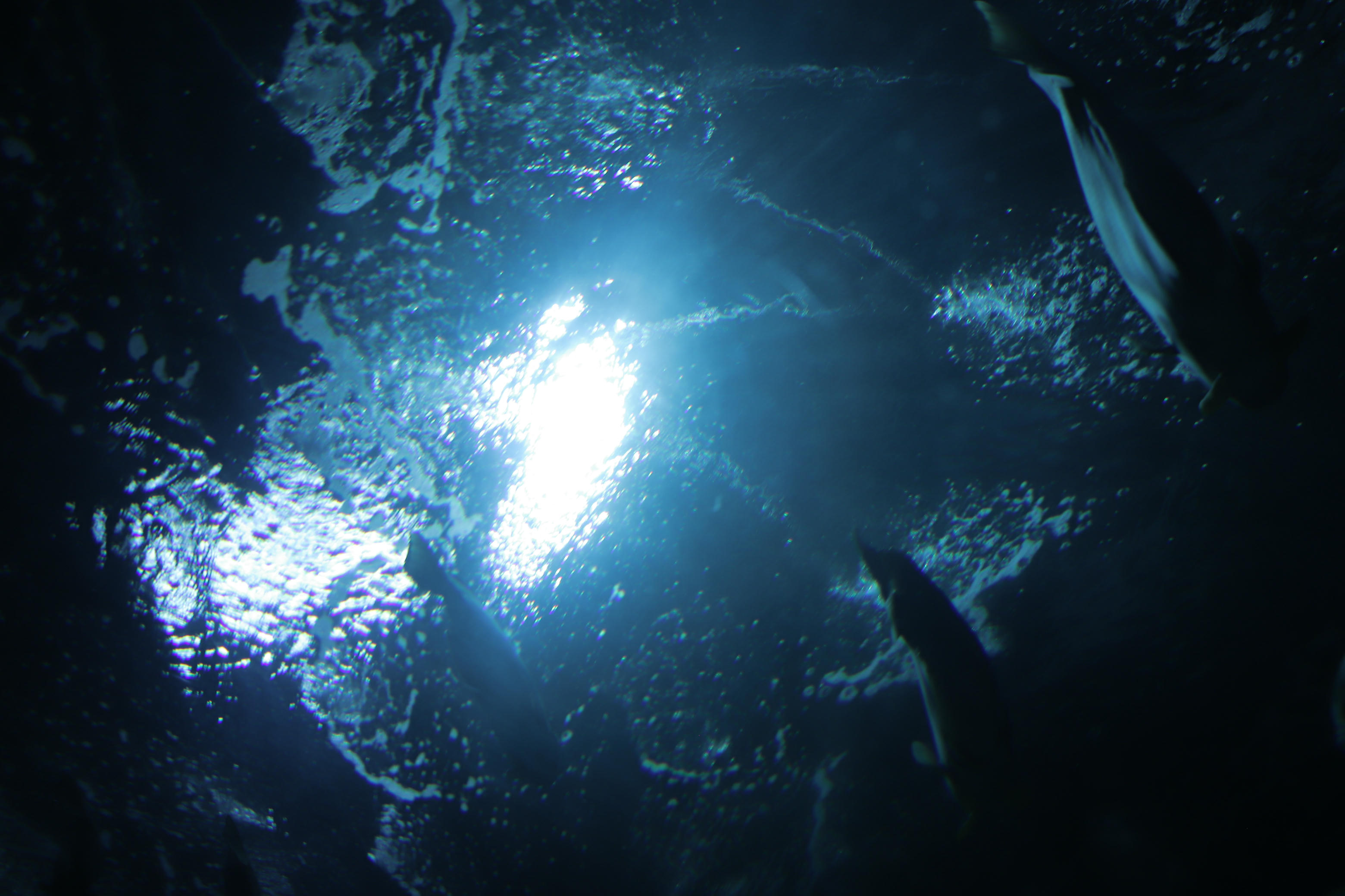 Shika小鹿鹿 NO.059 生日作 电子图 [65P-174MB]_第3集