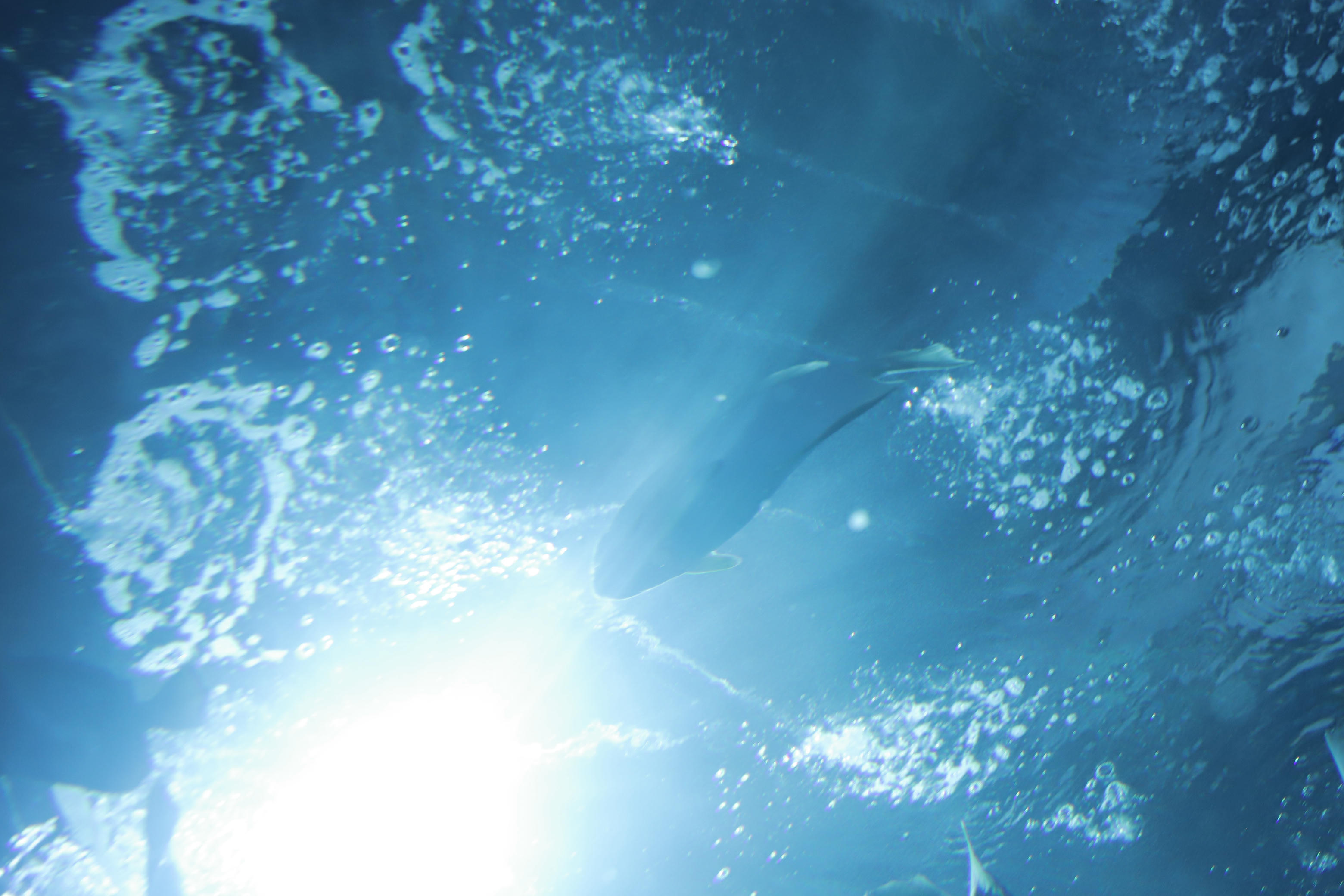 Shika小鹿鹿 NO.059 生日作 电子图 [65P-174MB]_第4集