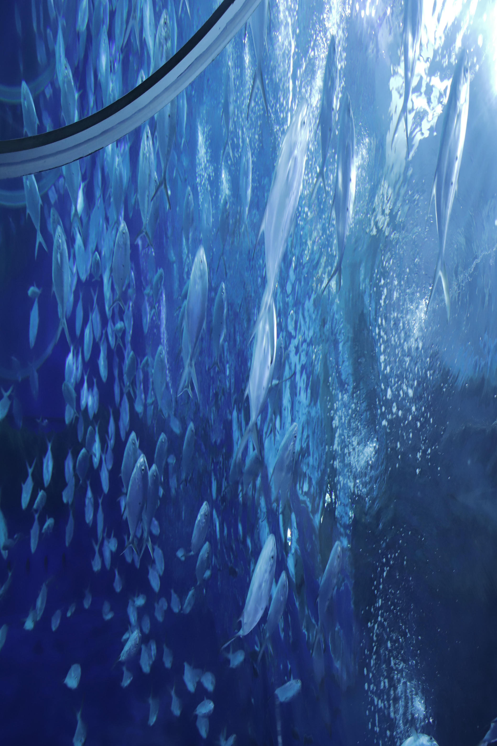 Shika小鹿鹿 NO.059 生日作 电子图 [65P-174MB]_第4集