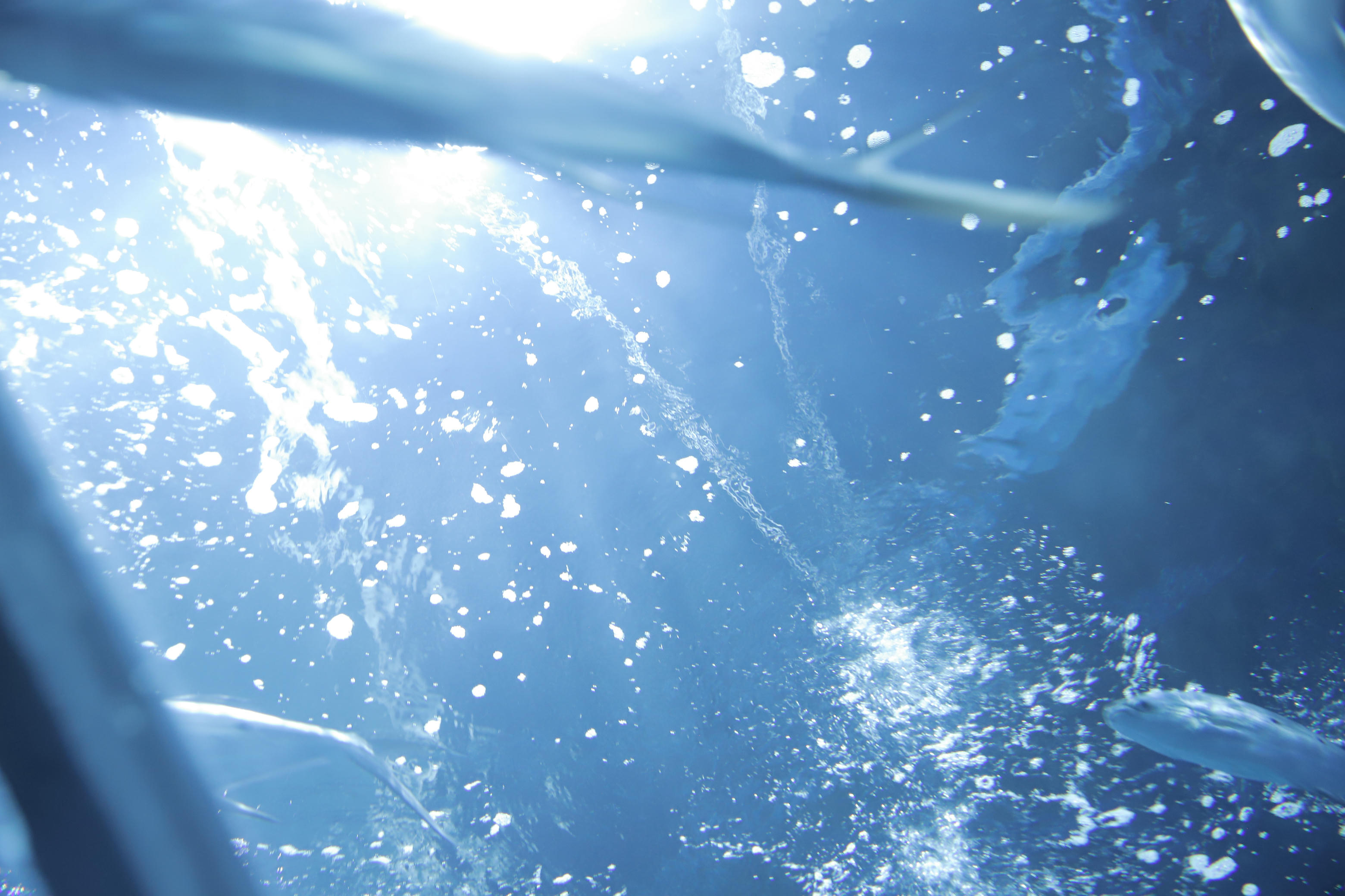 Shika小鹿鹿 NO.059 生日作 电子图 [65P-174MB]_第4集